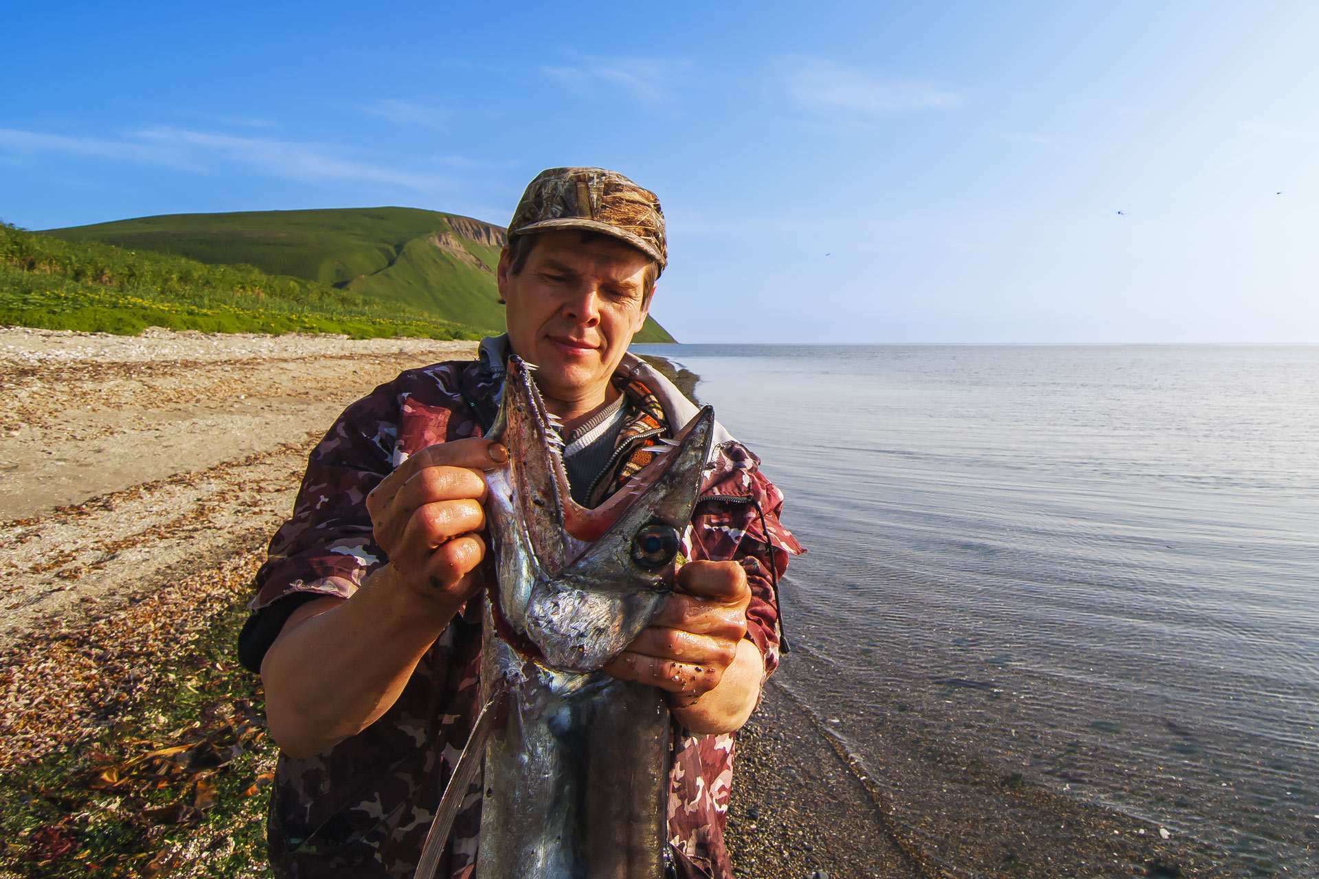 алепизавр, рыба, зубы, остров беринга, камчатка, Уткин Дмитрий