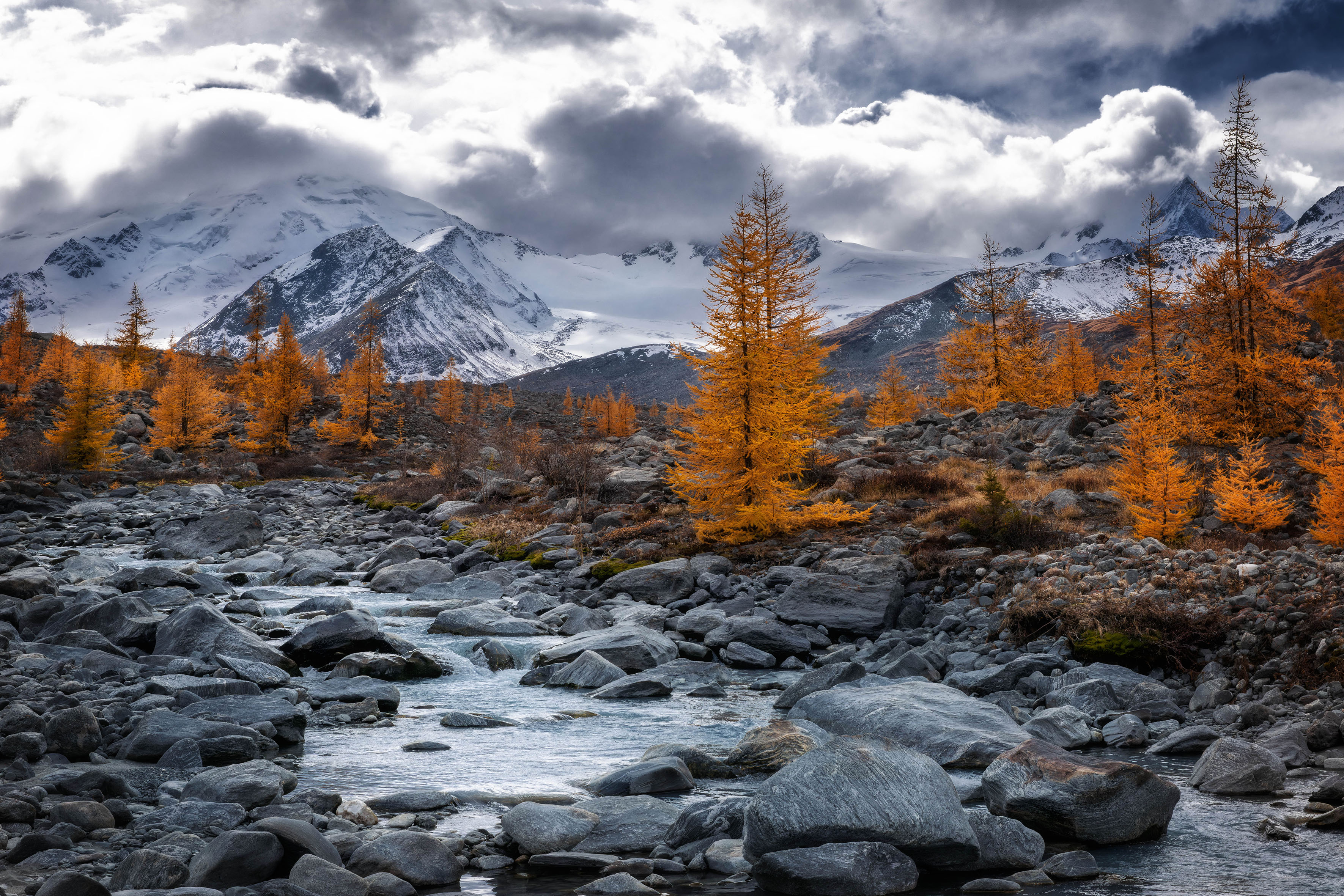, Шевченко Николай