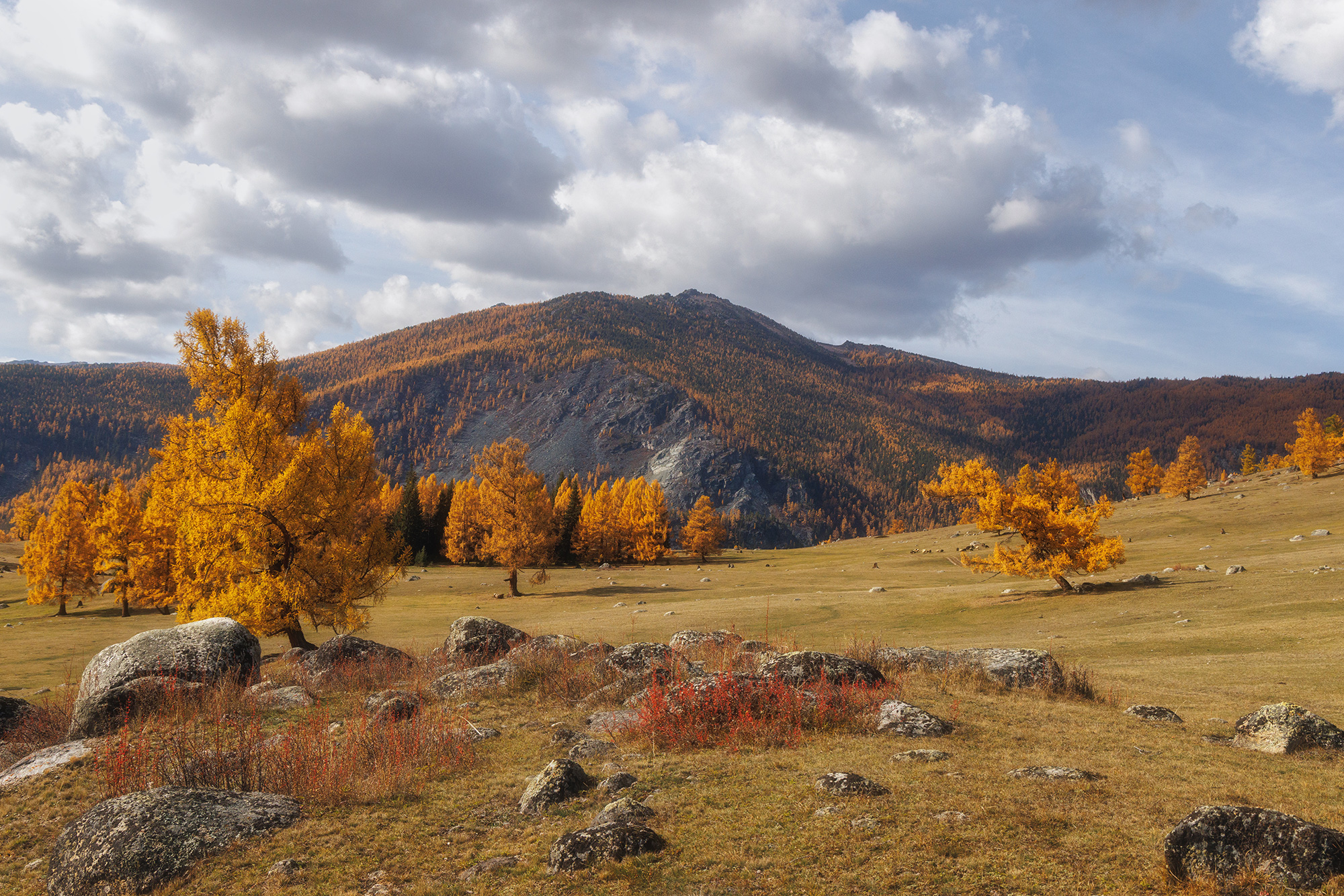 алтай, горный алтай, джазатор, беляши, лиственницы, горы, облака, Морозов Сергей