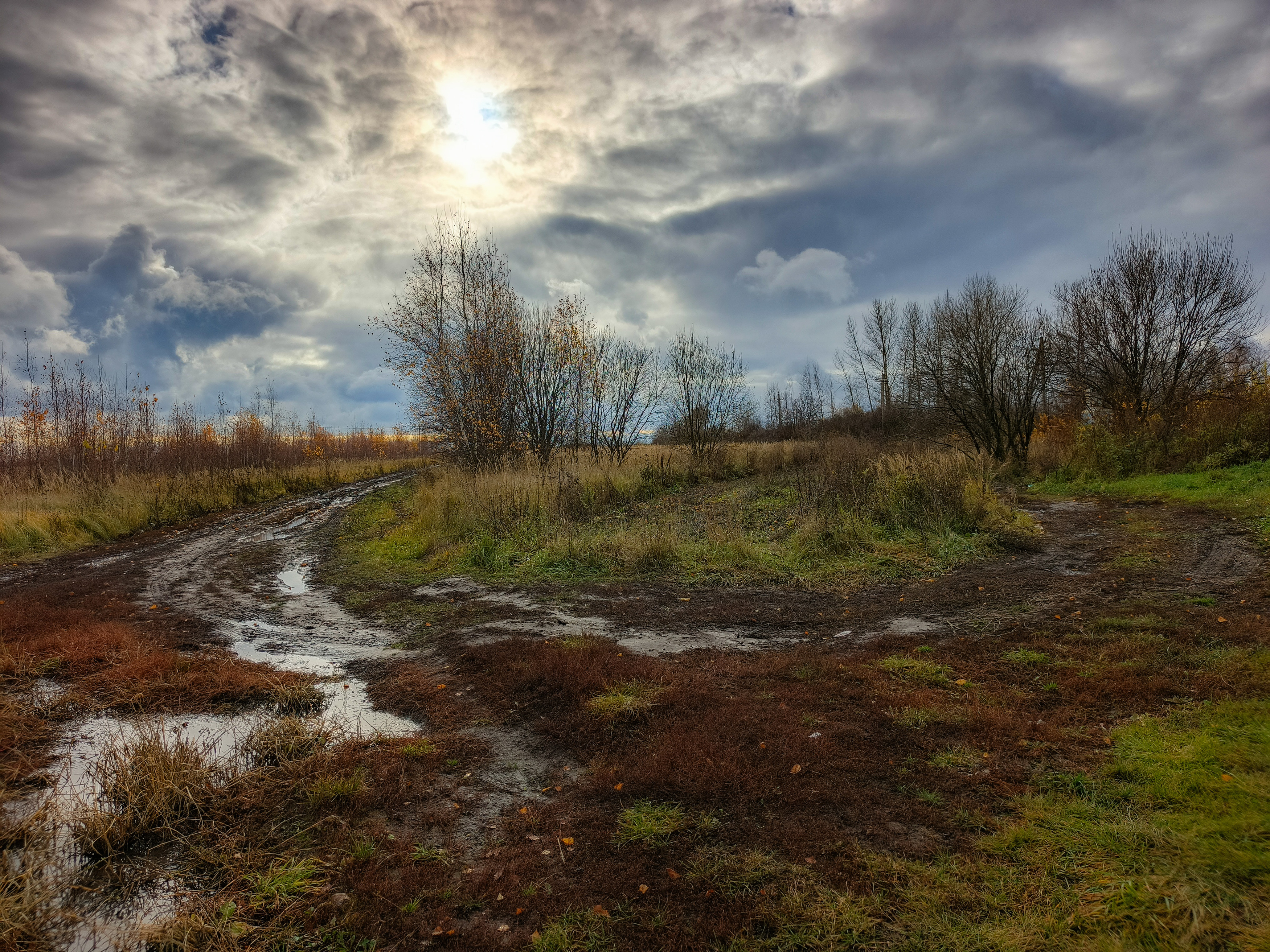 , Кондрашова Светлана