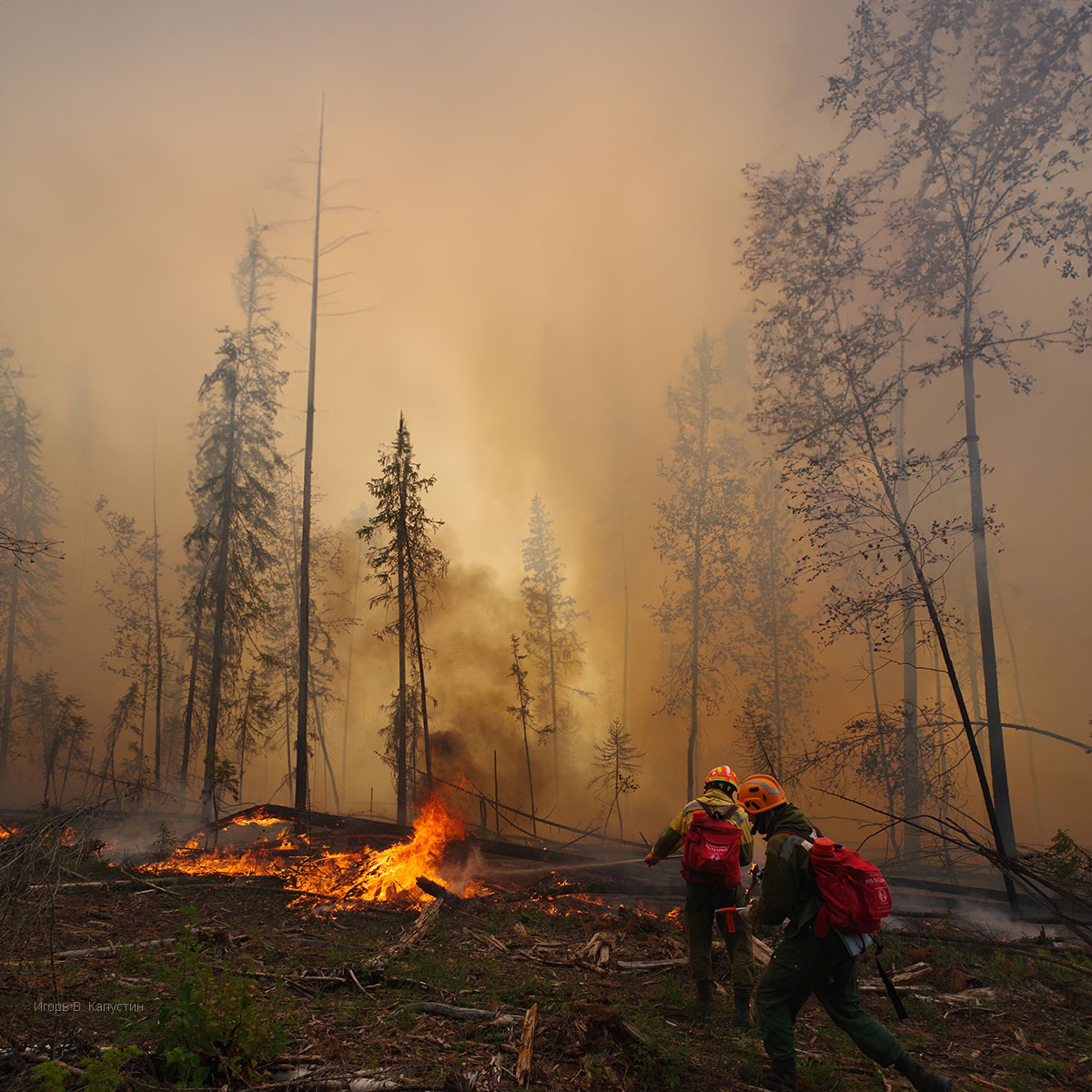 , Капустин Игорь