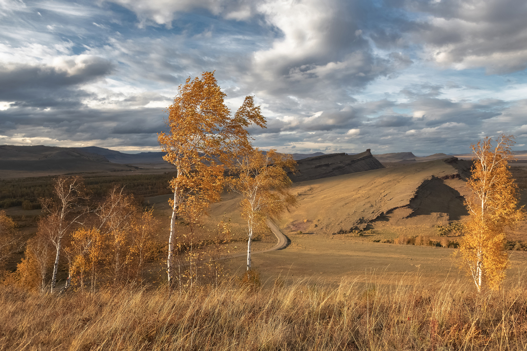 сибирь,сундуки, березы, хакасия, закат, енисейская сибирь, Марина Фомина