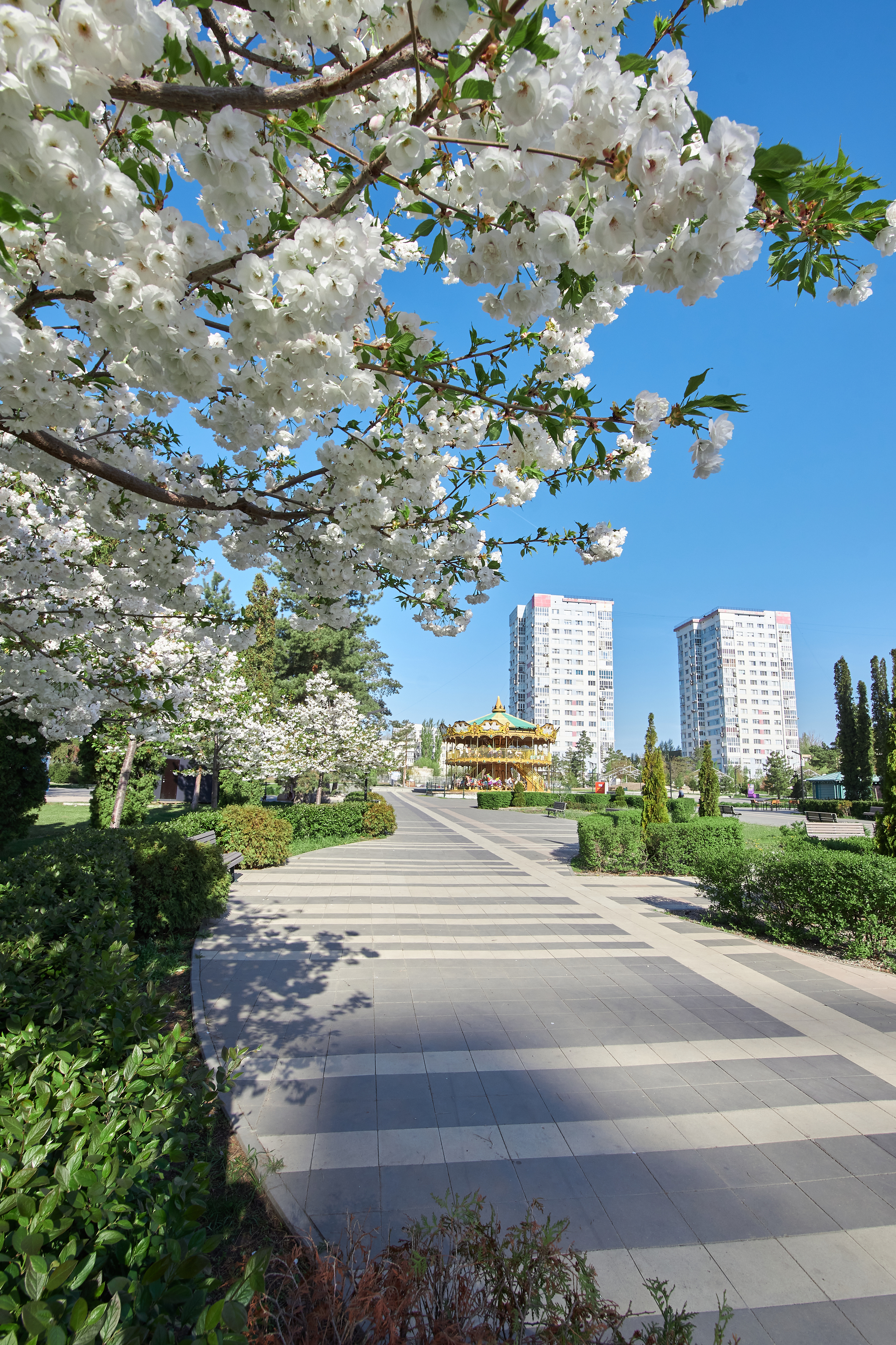 цпкио, парк, волгоград, россия, , Павел Сторчилов