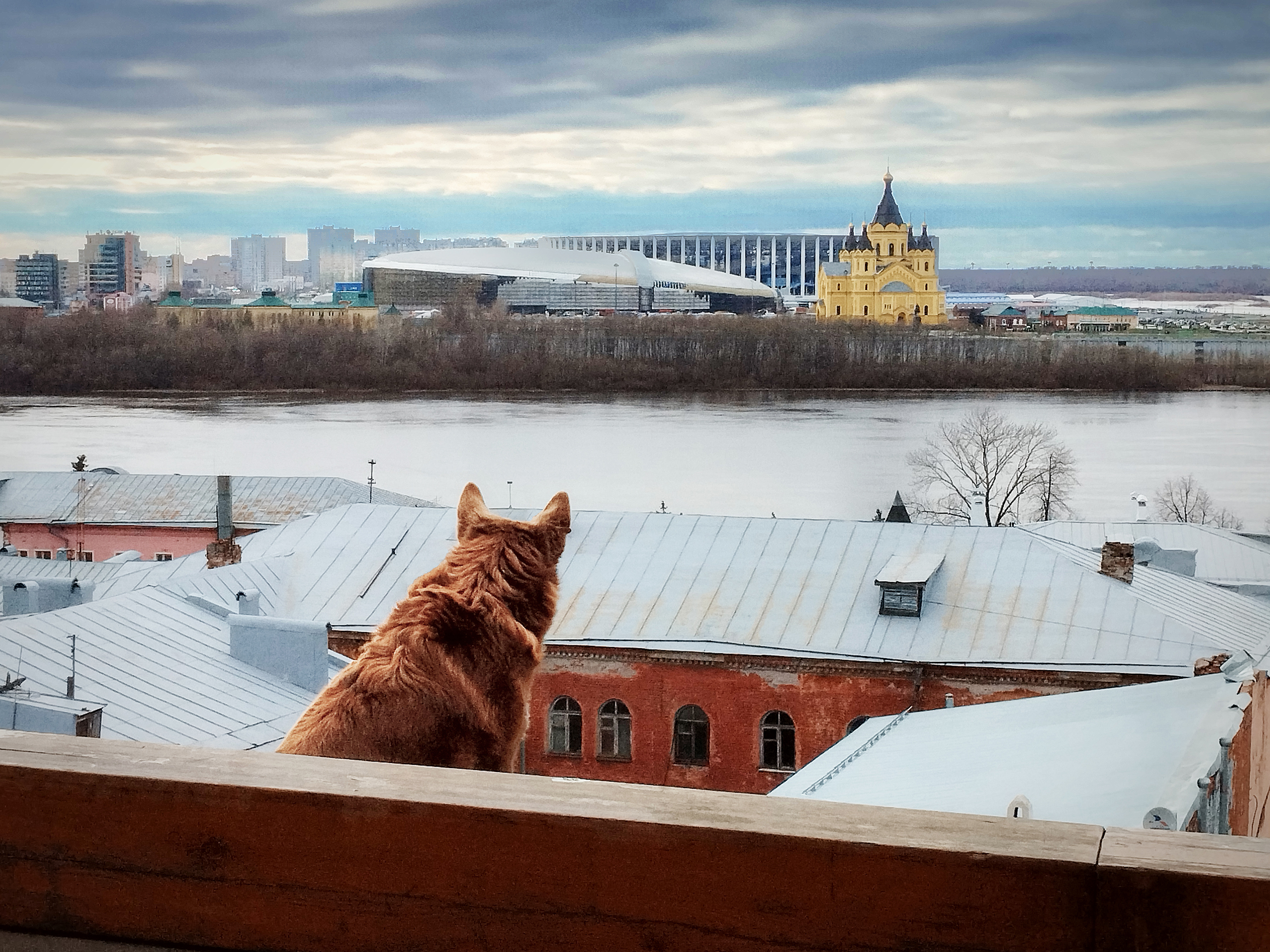 , Владислав Михайлов