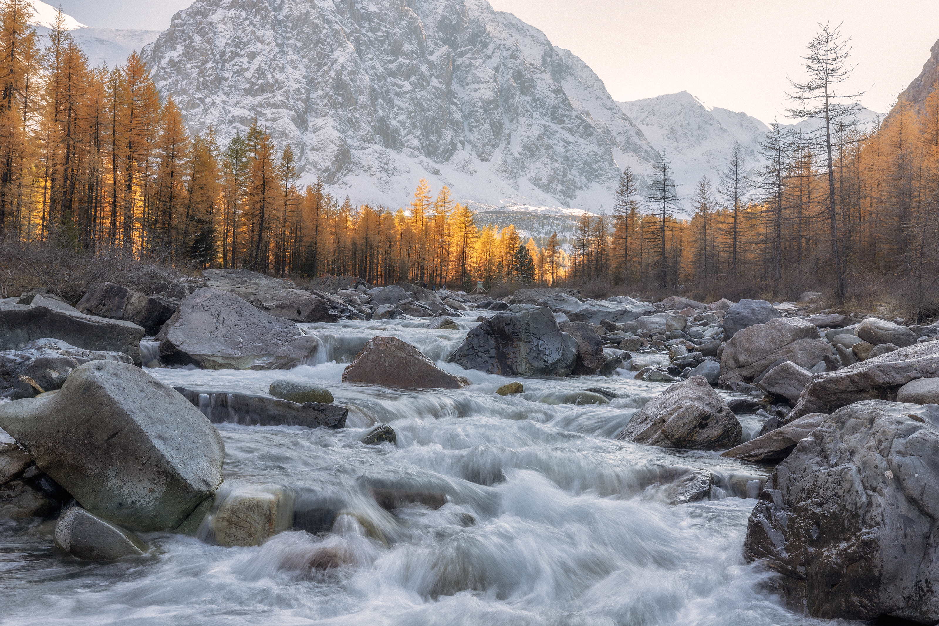 Алтай, Гусева Елена