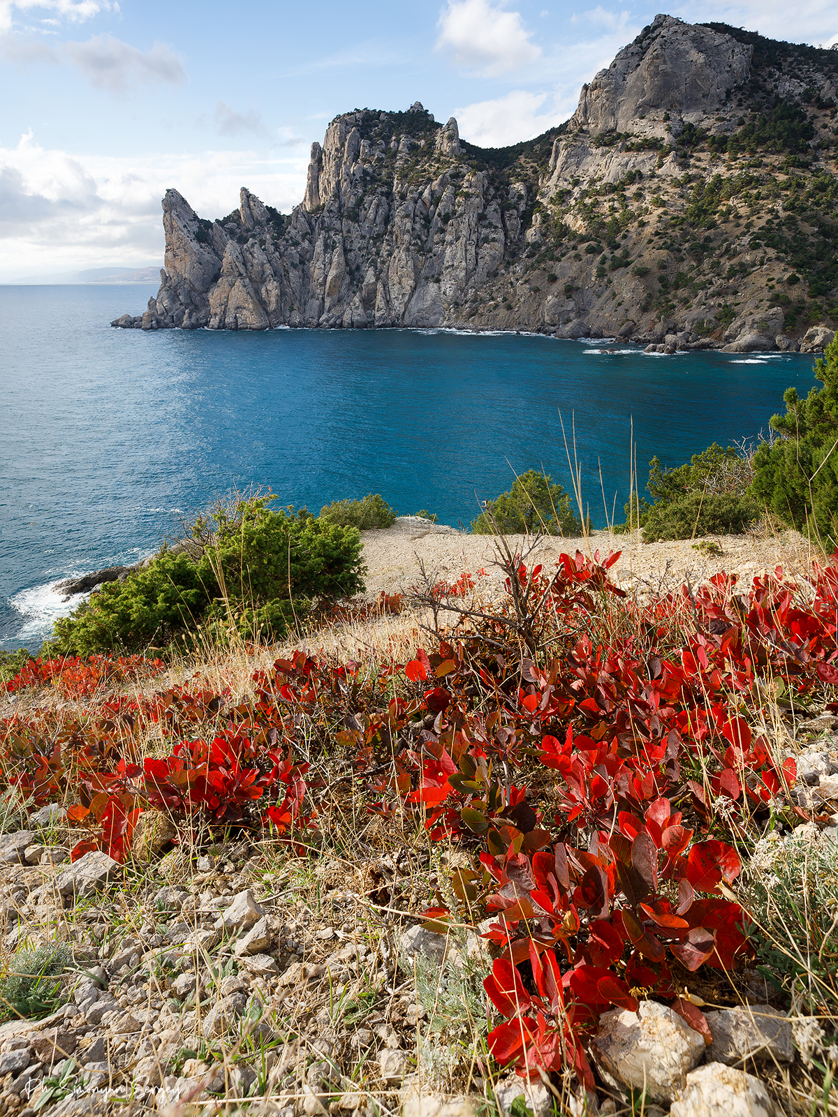 , Симонян Сергей