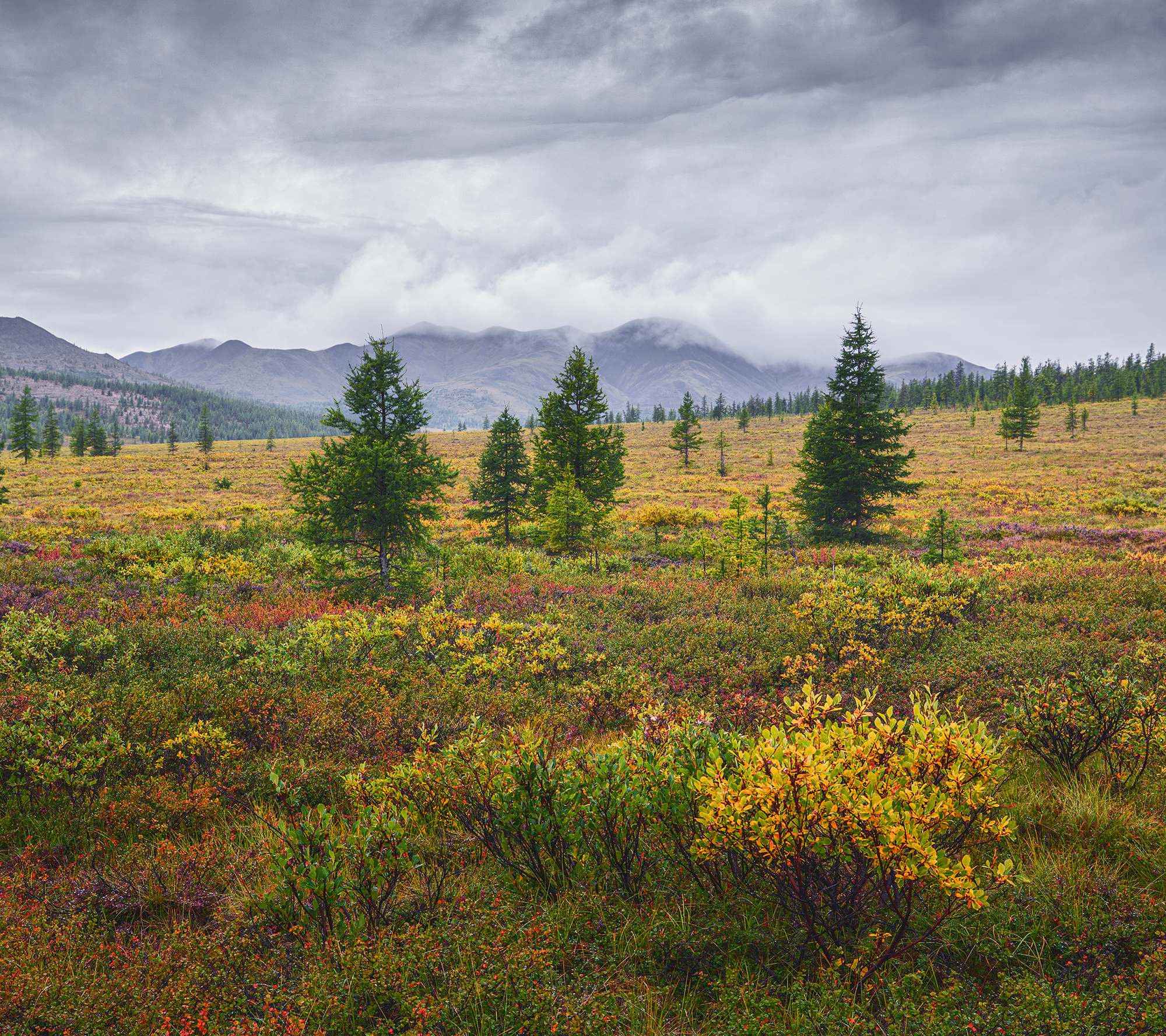 , Андреев Николай