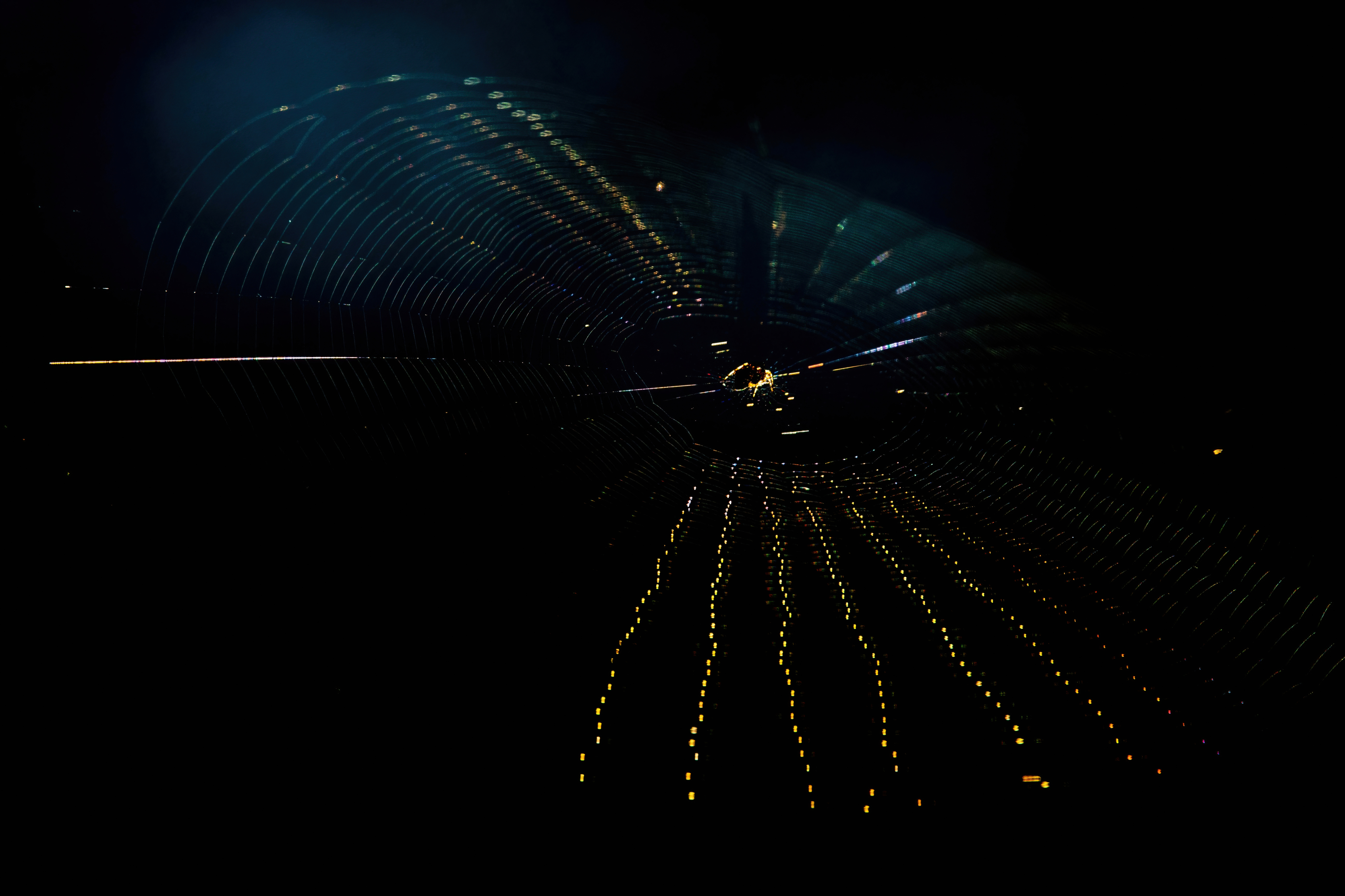 паутина, Калиногорский Юрий