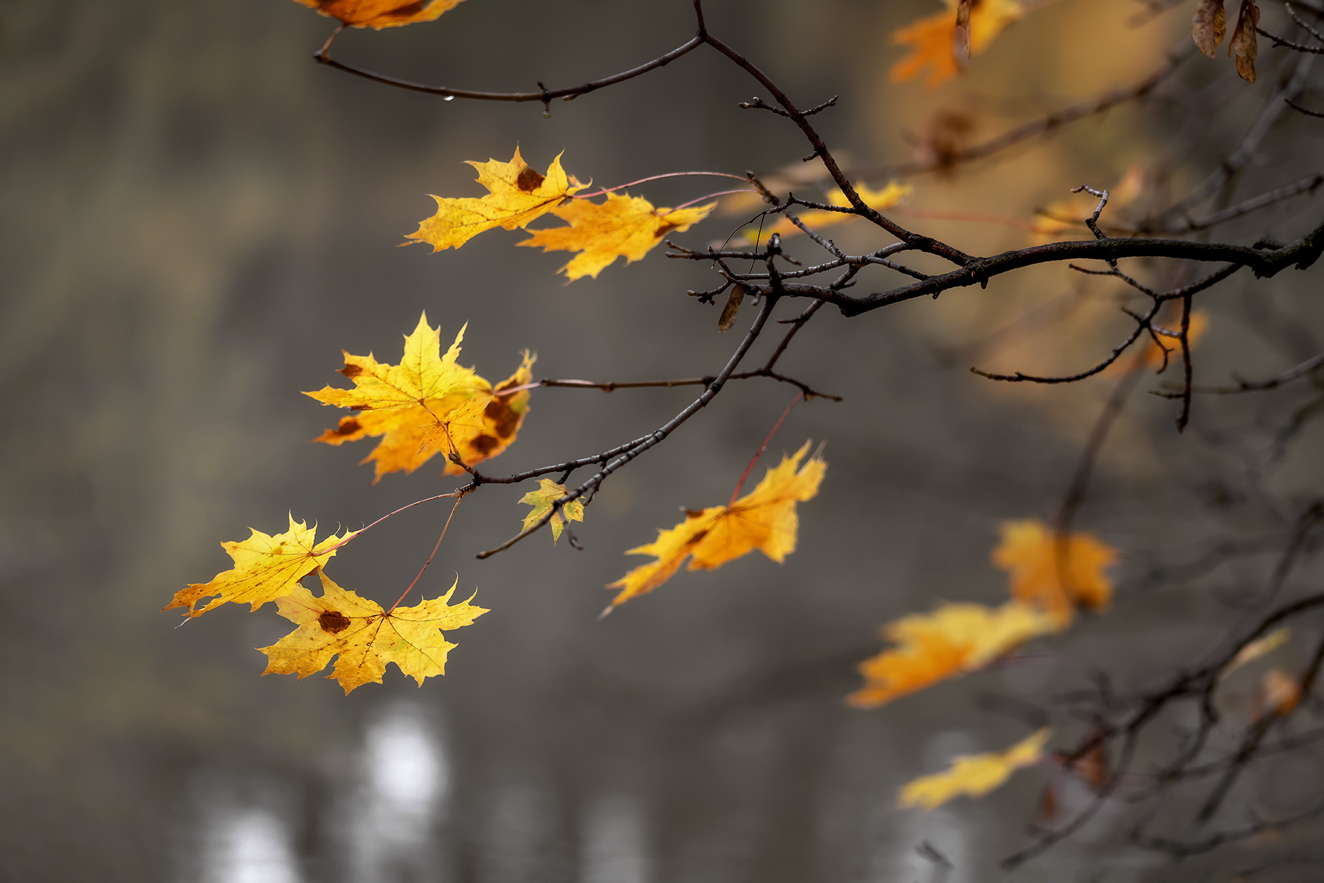 , Завьялова Людмила!