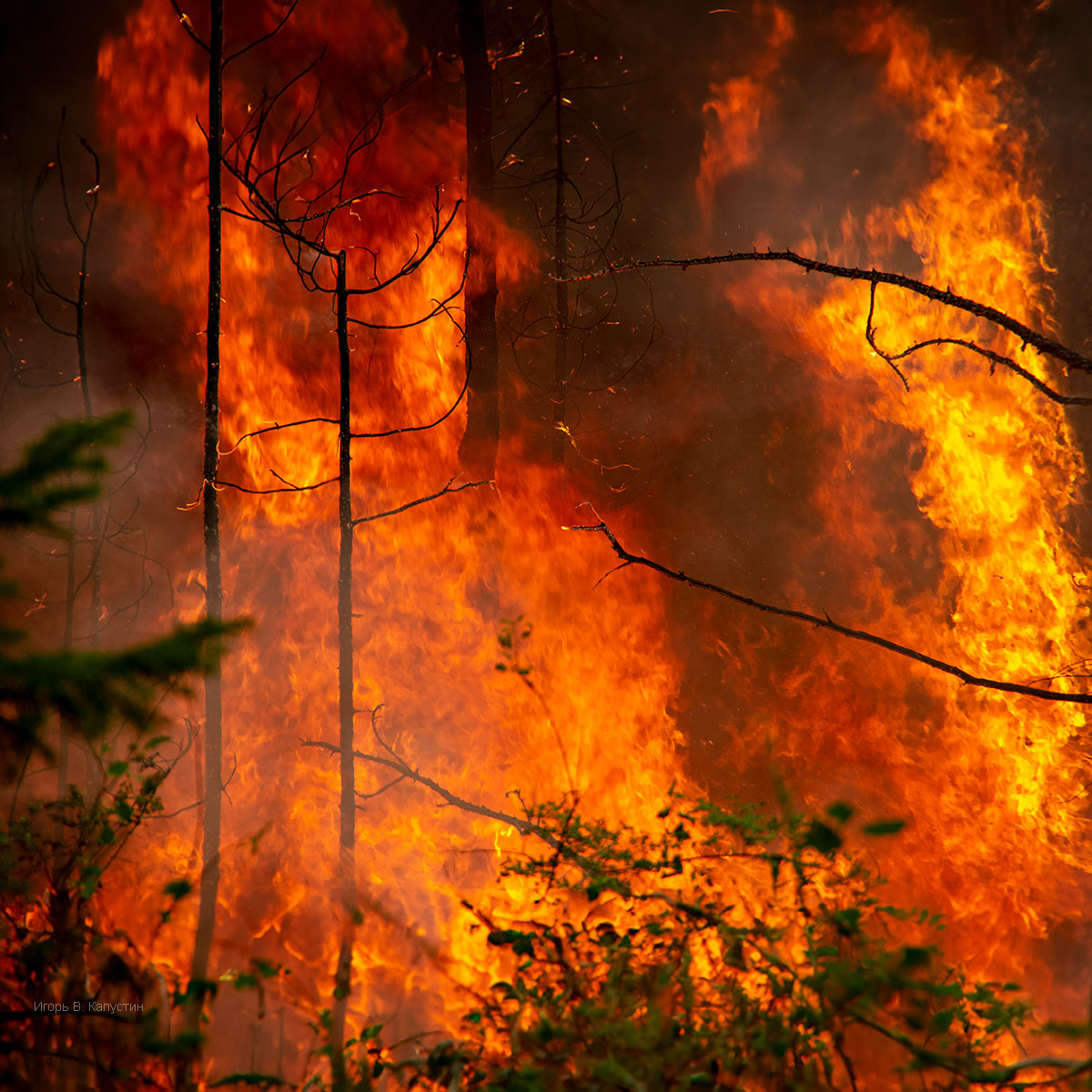 , Капустин Игорь