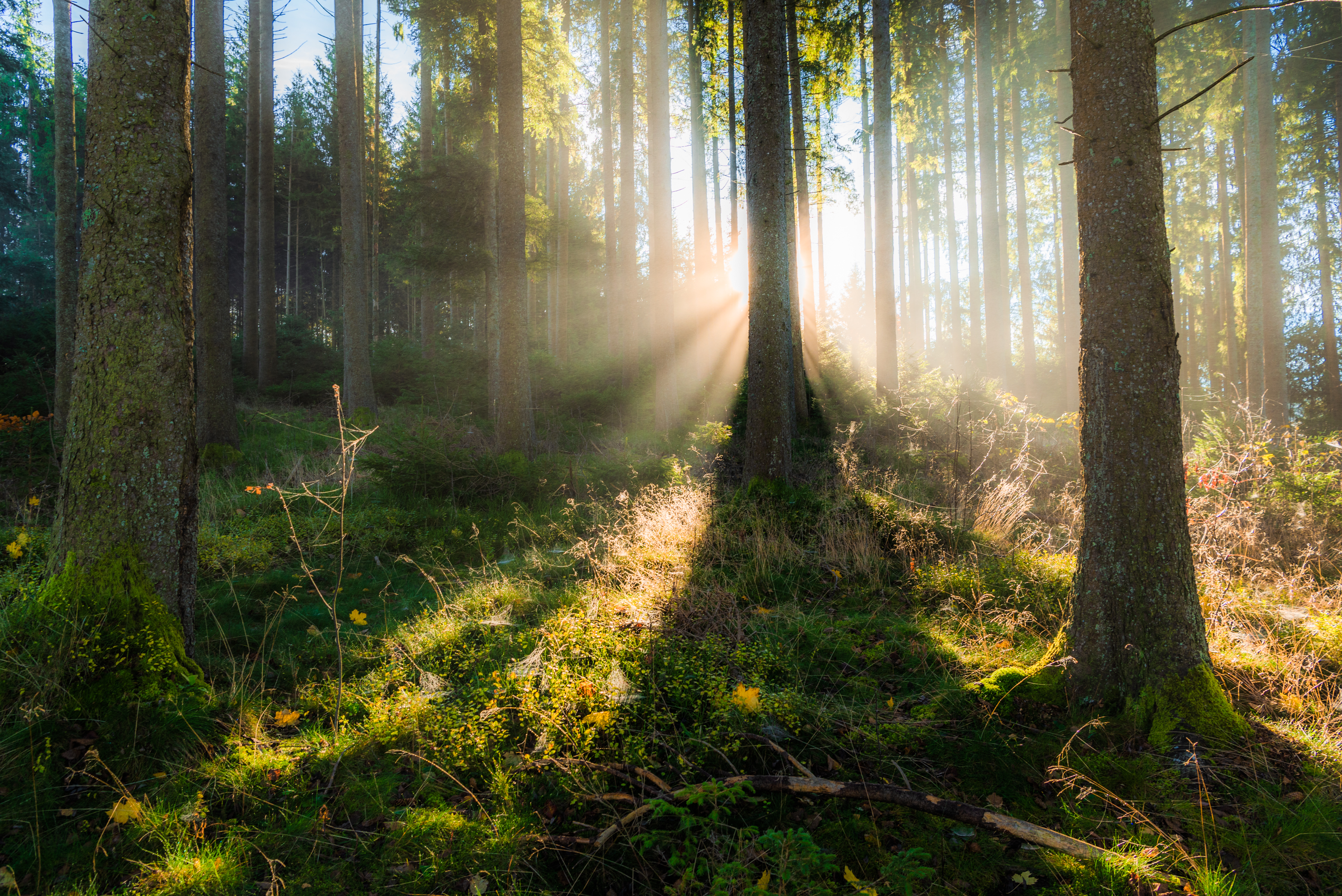 , Руслан Авдевич