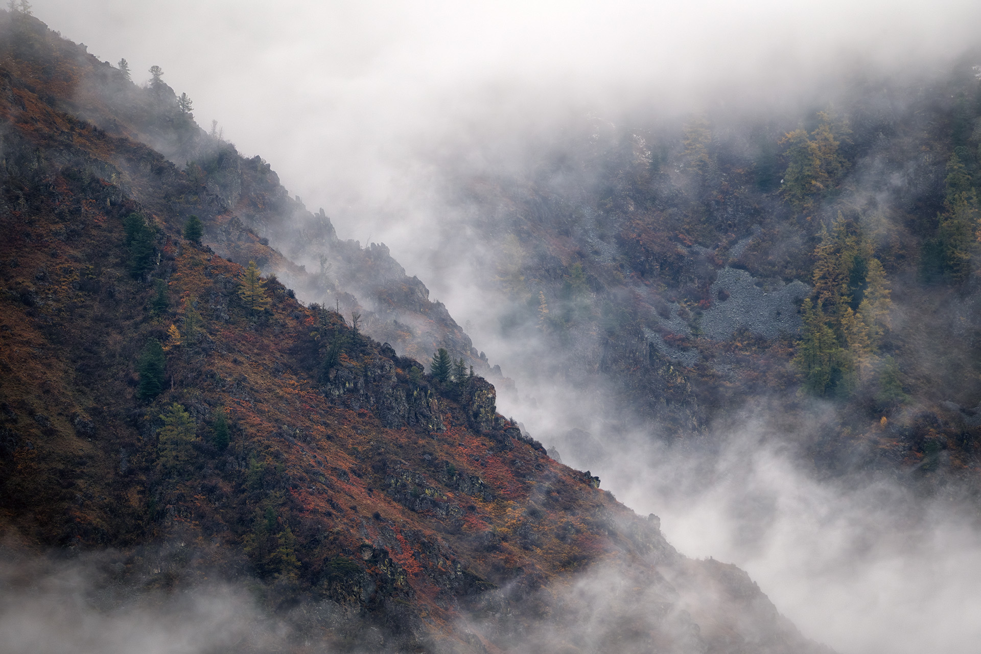 , Бодрягин Виталий