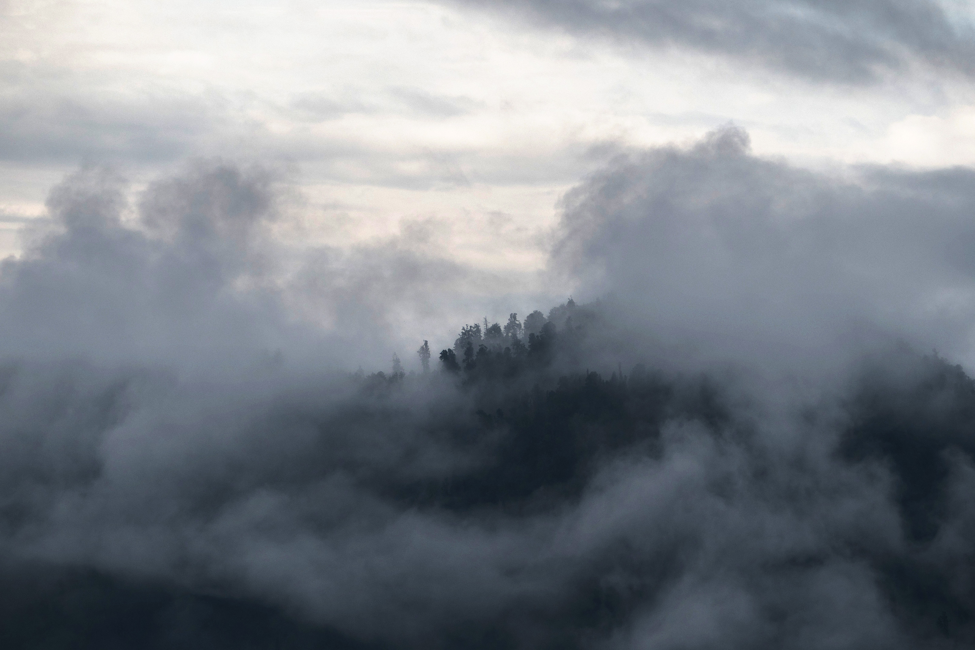 алтай, Станислав