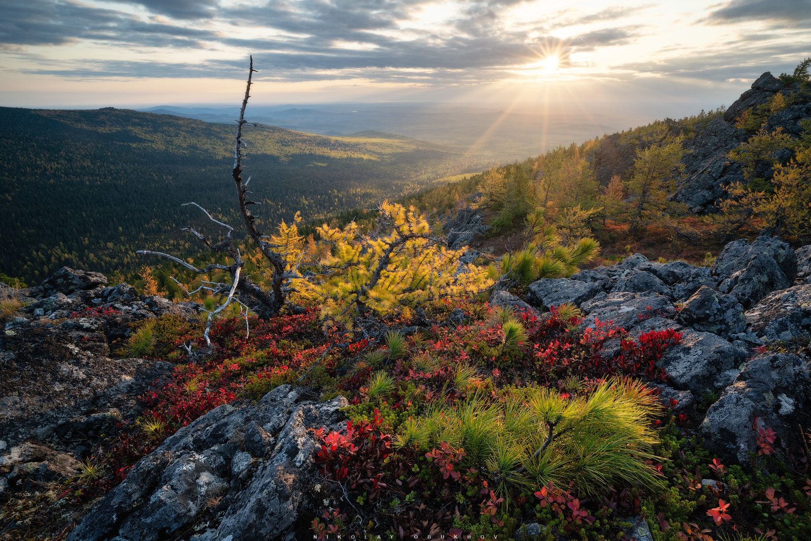 , Обухов Николай