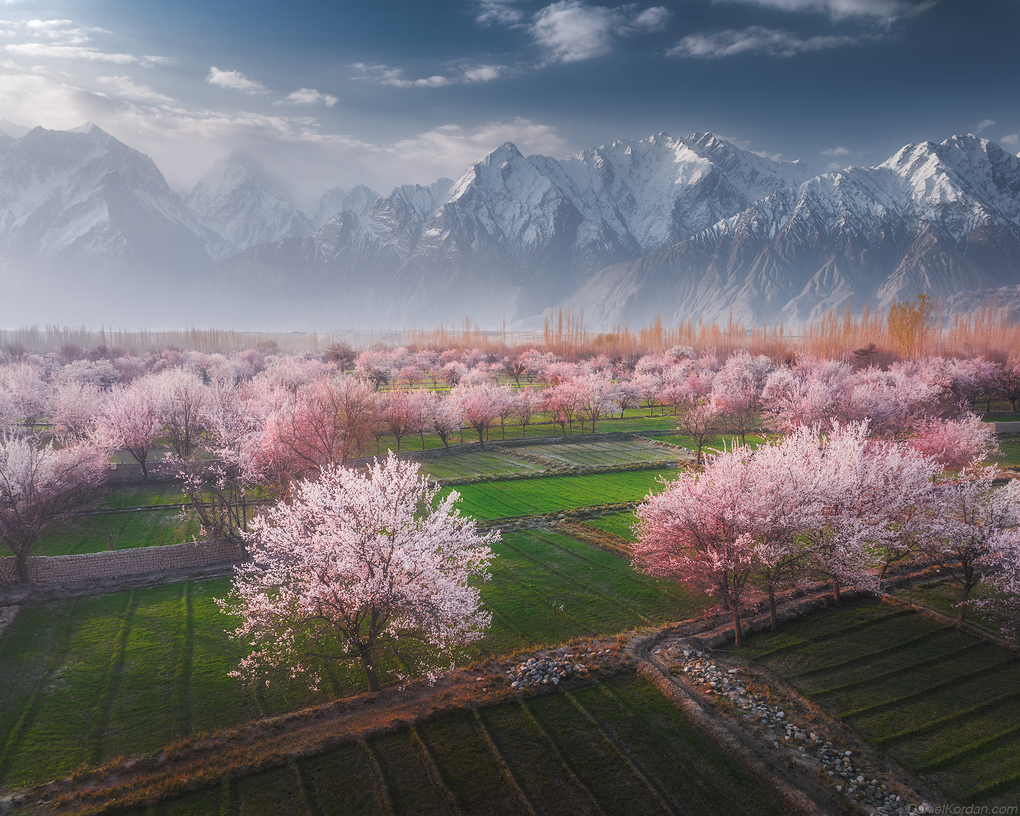 , Даниил Коржонов