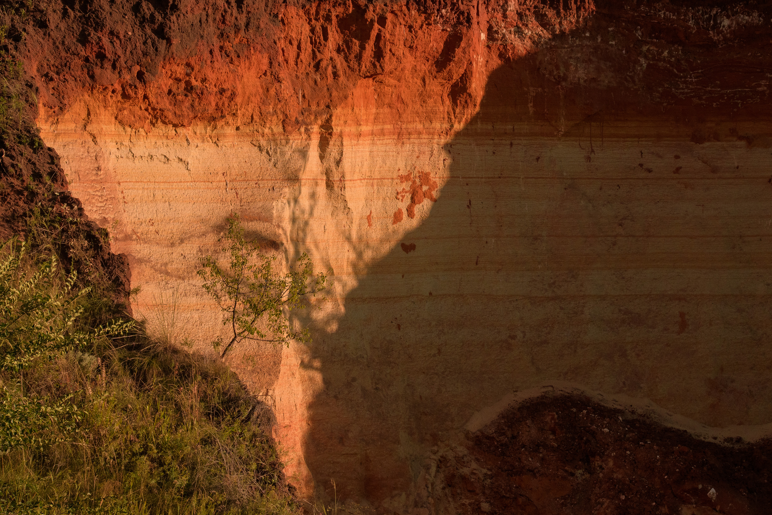 , Ксения Соварцева