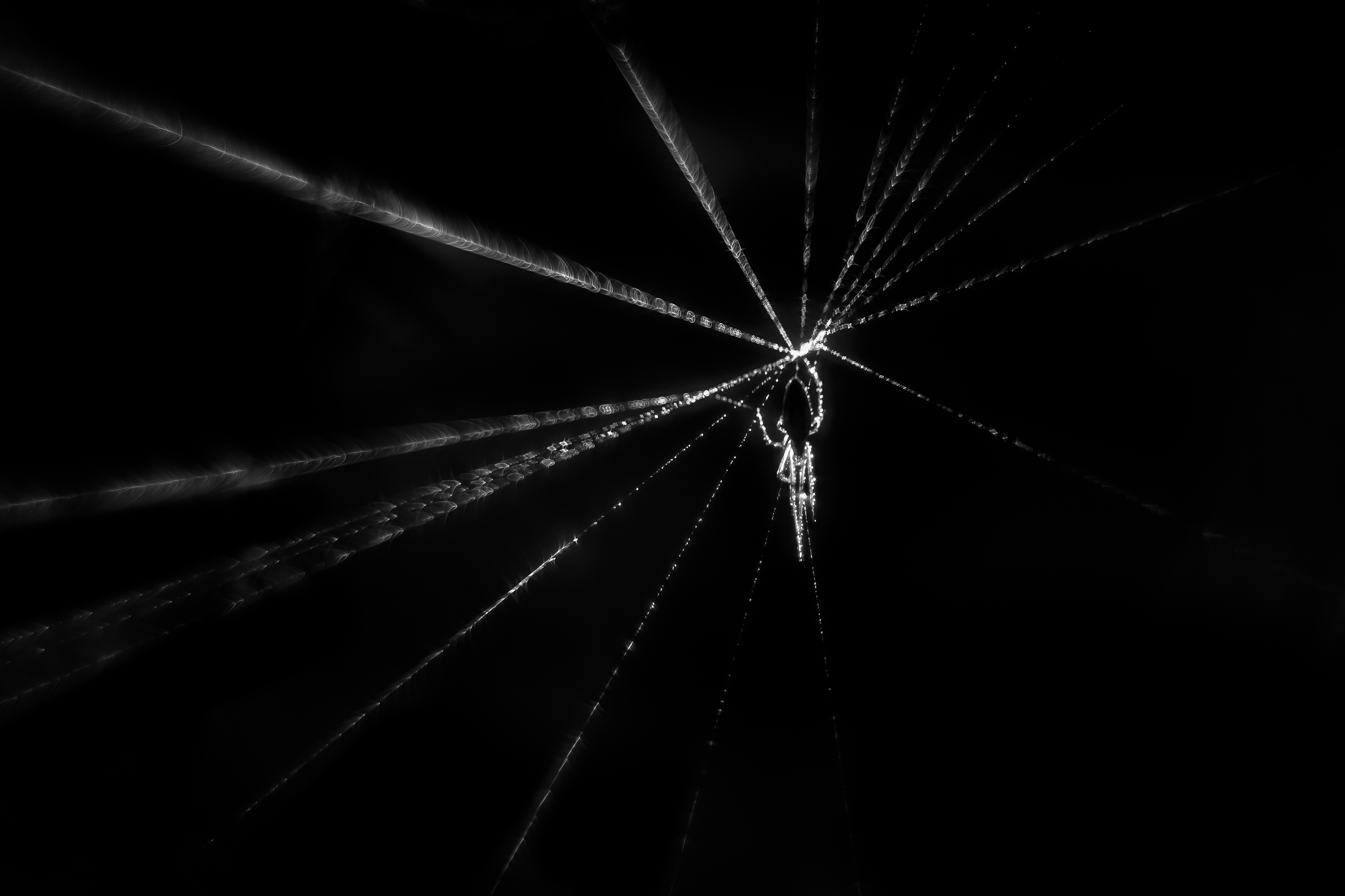 , Ксения Соварцева