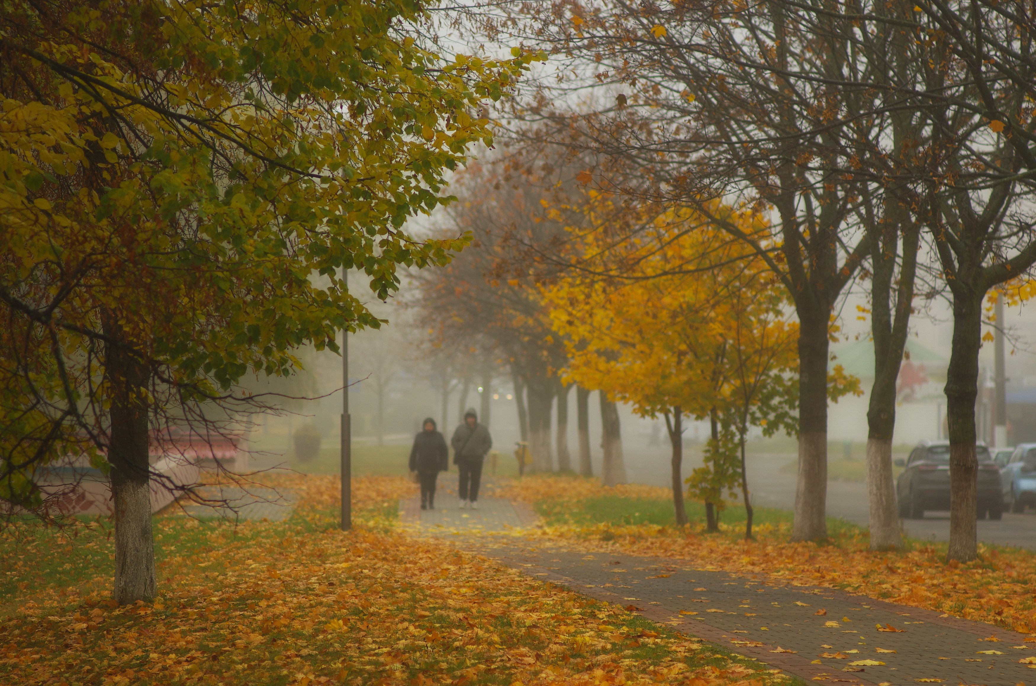 , Шляга Сергей