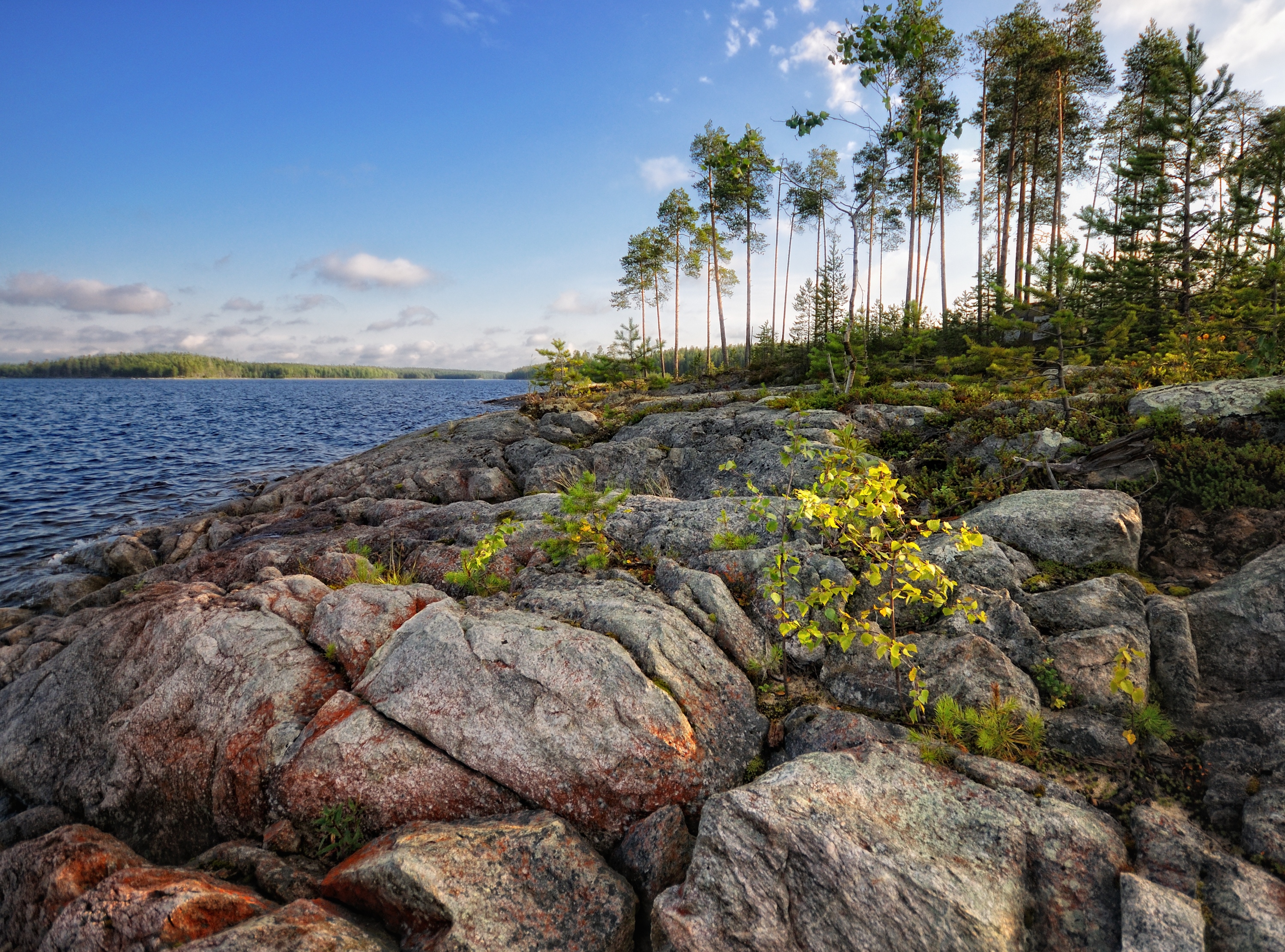 , Андрей Куликов