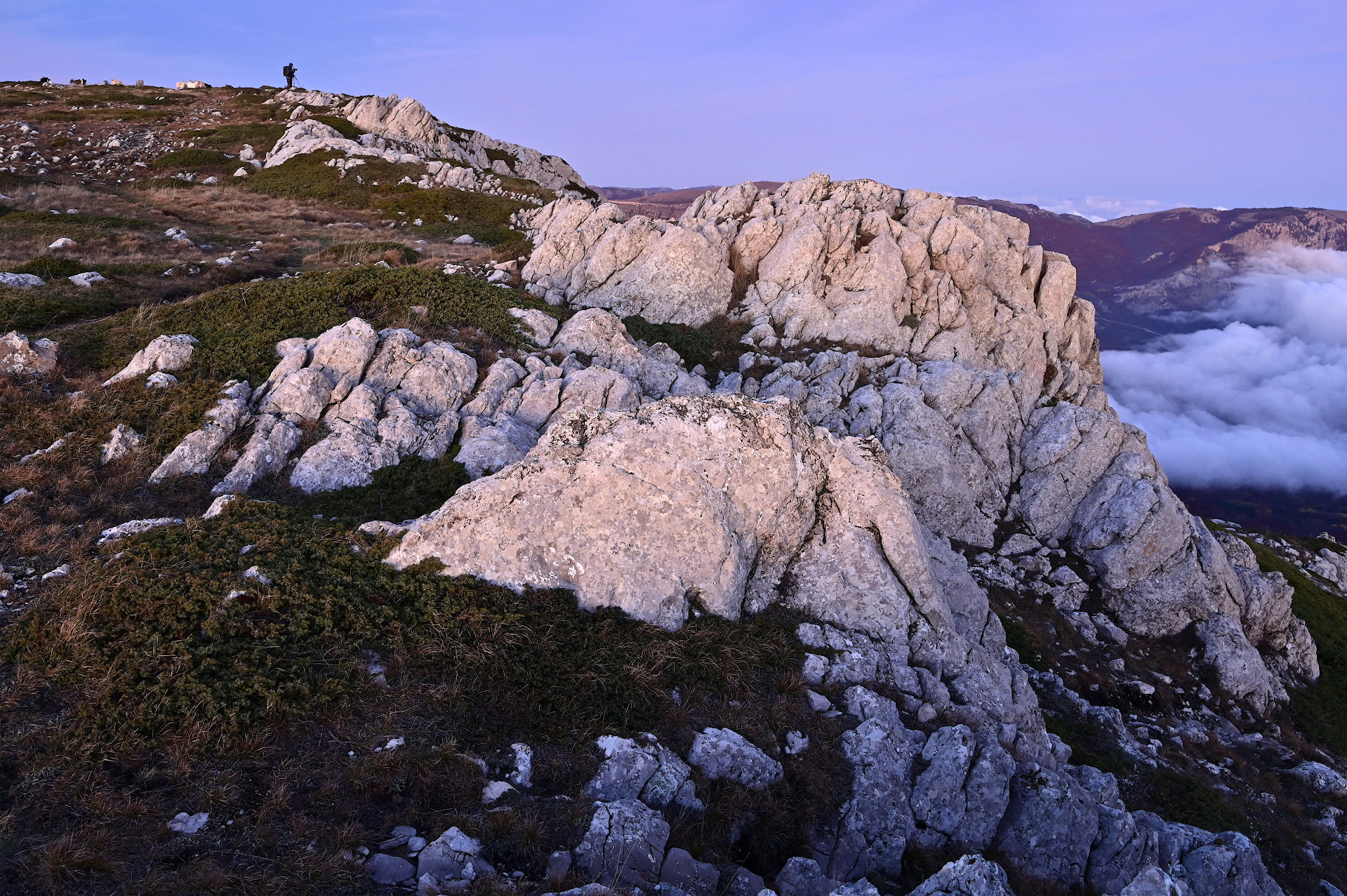 , Гусаченко Андрей
