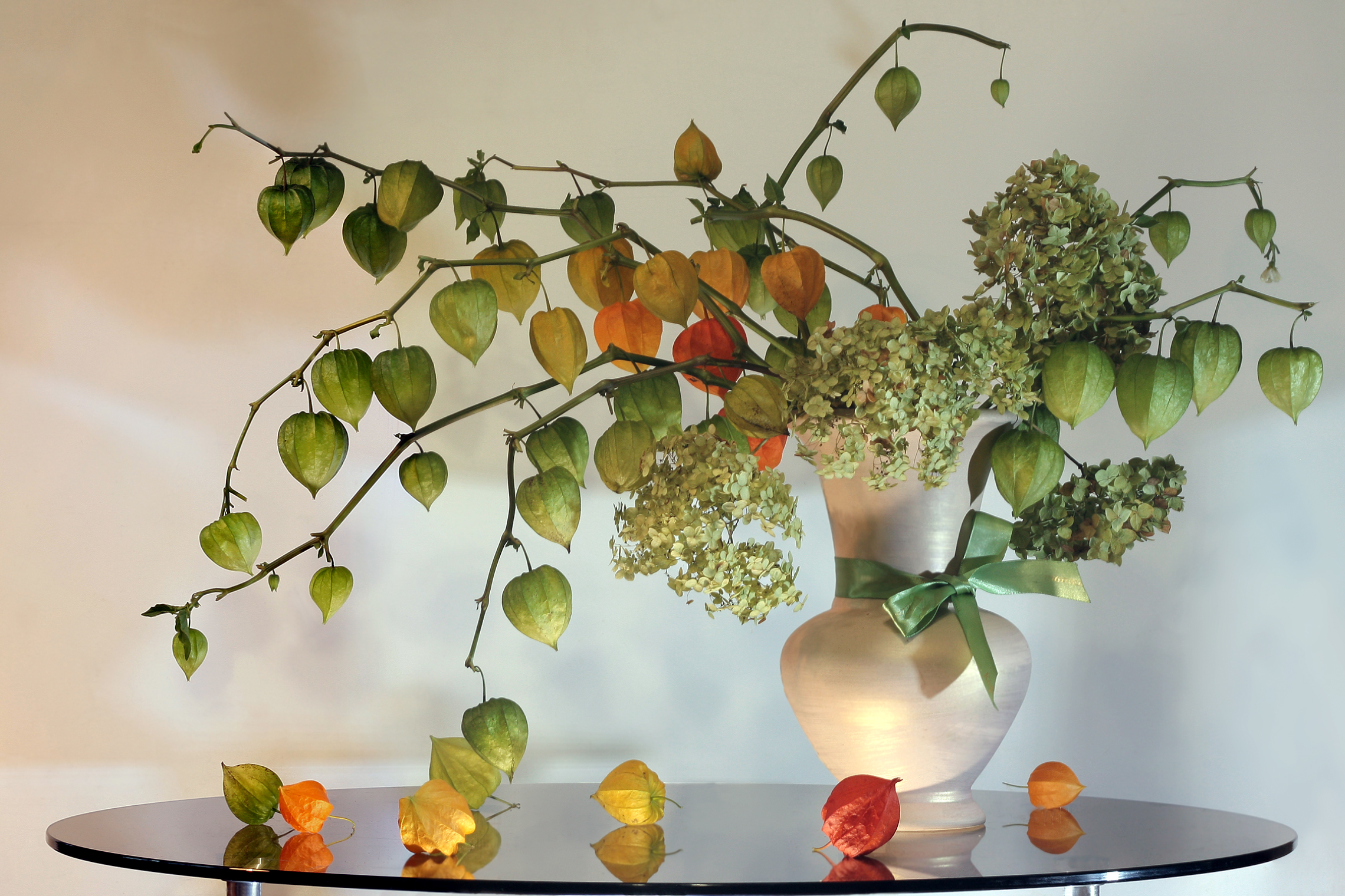 физалис, гортензия, Заболотская Ольга