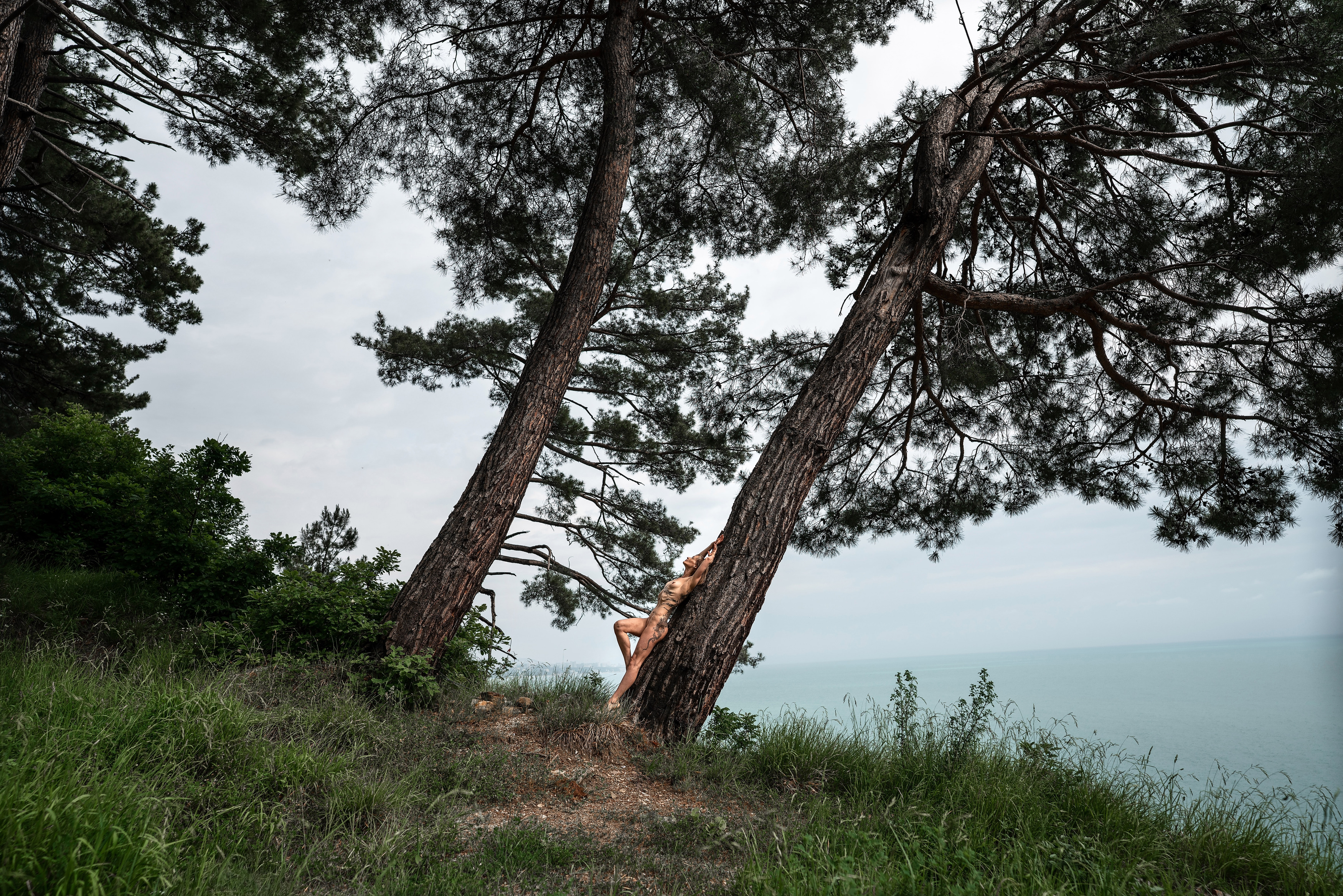 , Тырышкин Роман