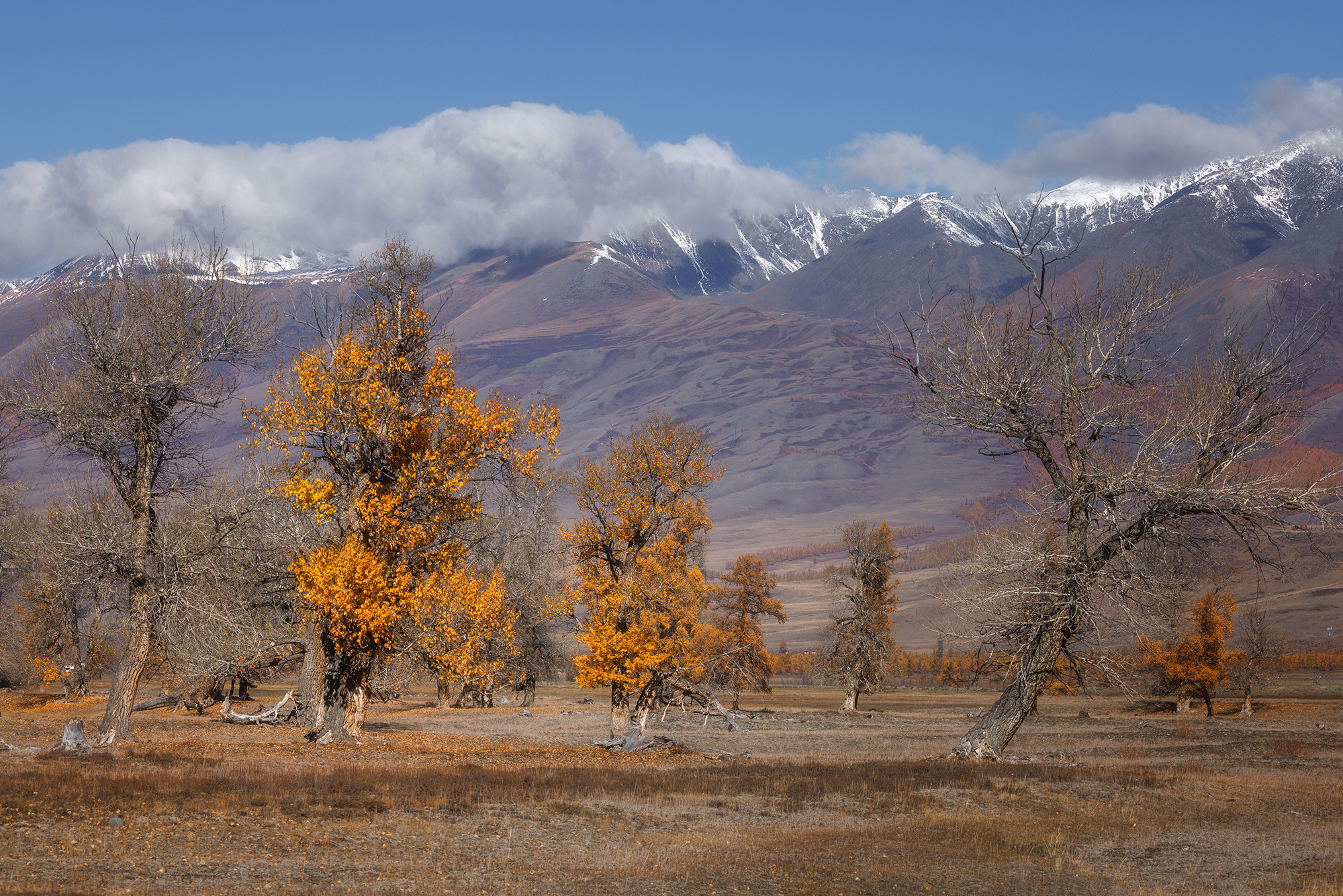 алтай, горный алтай, курай, горы, облака, Морозов Сергей