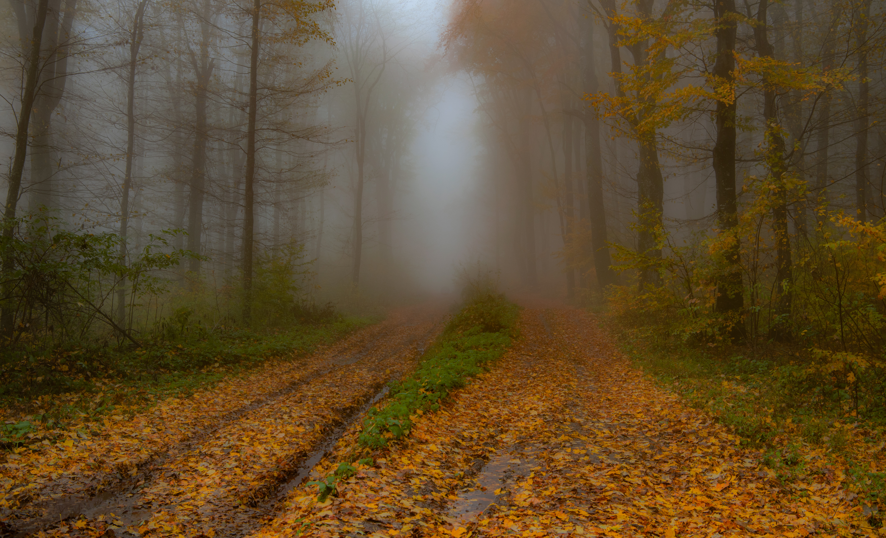 , Руслан Авдевич