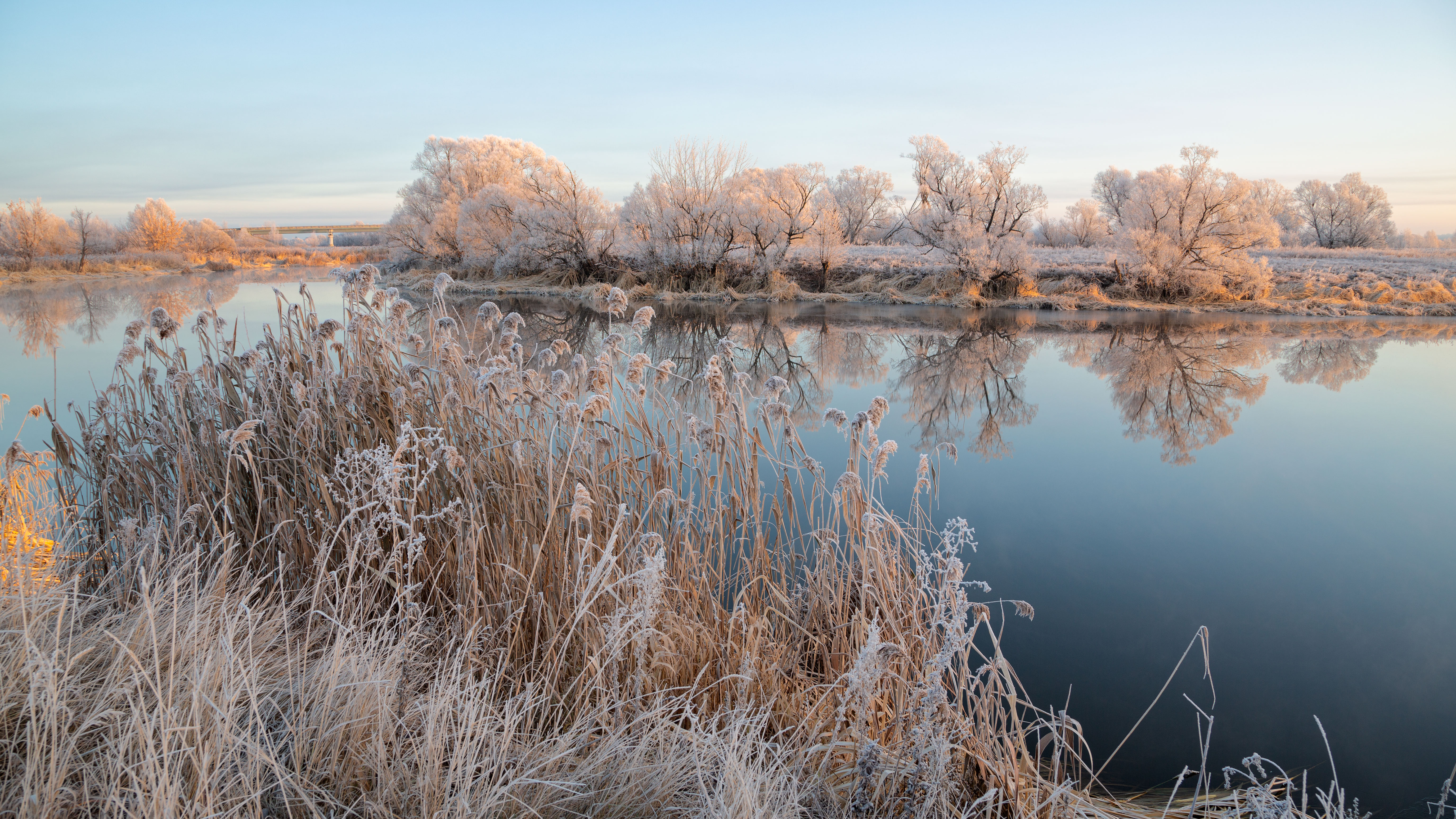 , Александр Бредихин
