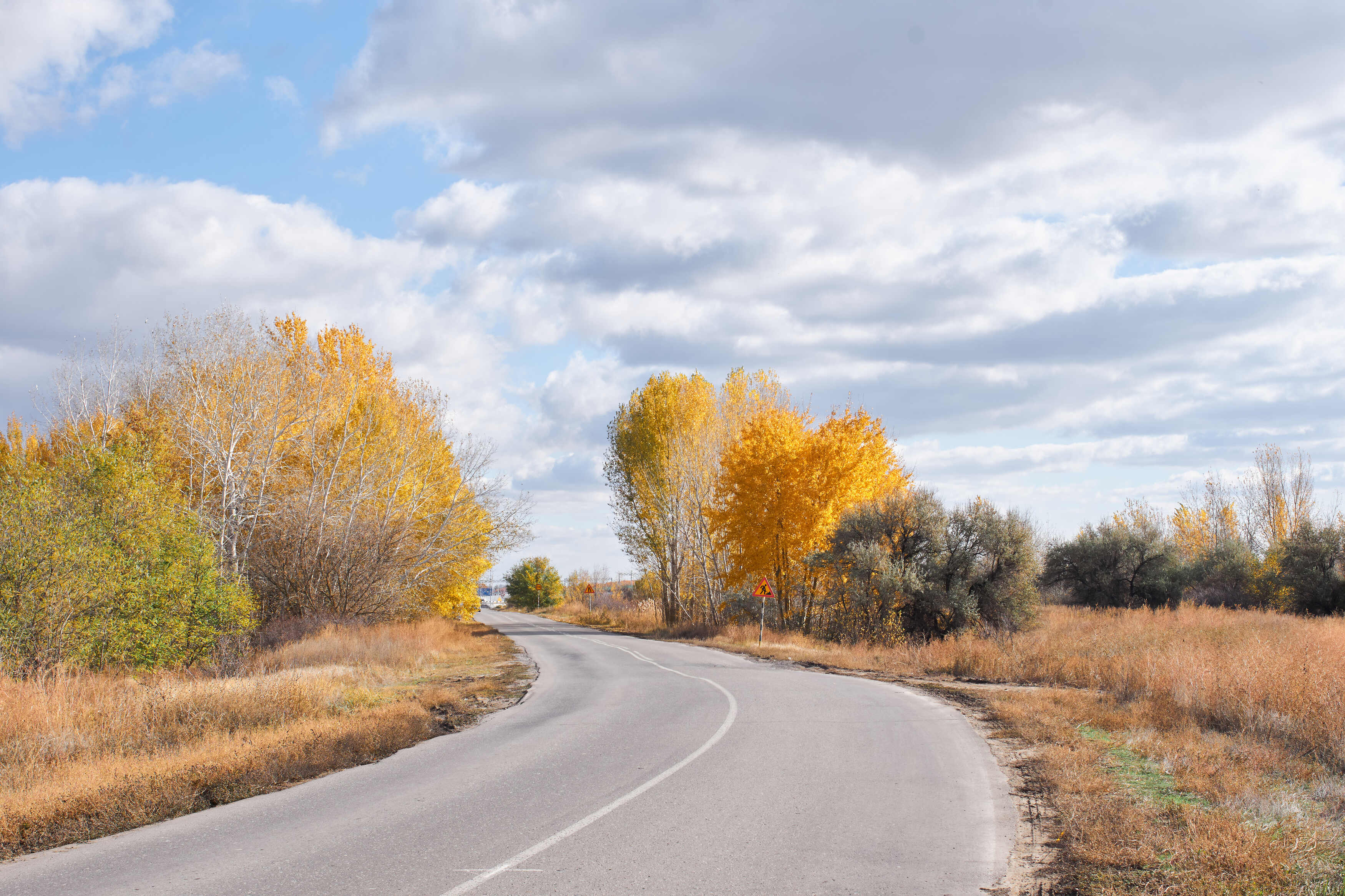 осень, желтый, волгоград, россия, , Павел Сторчилов