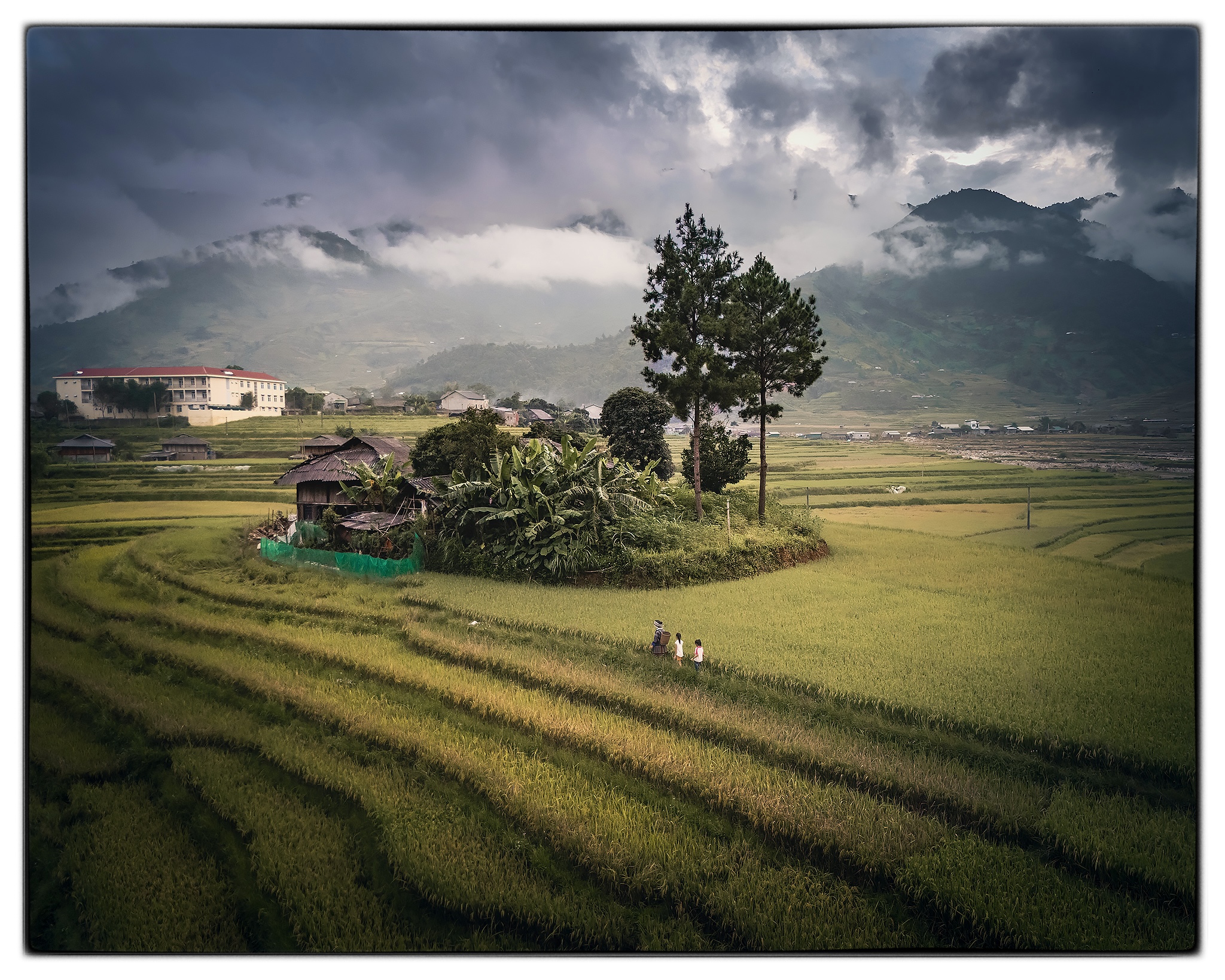 , Поляков Владимир