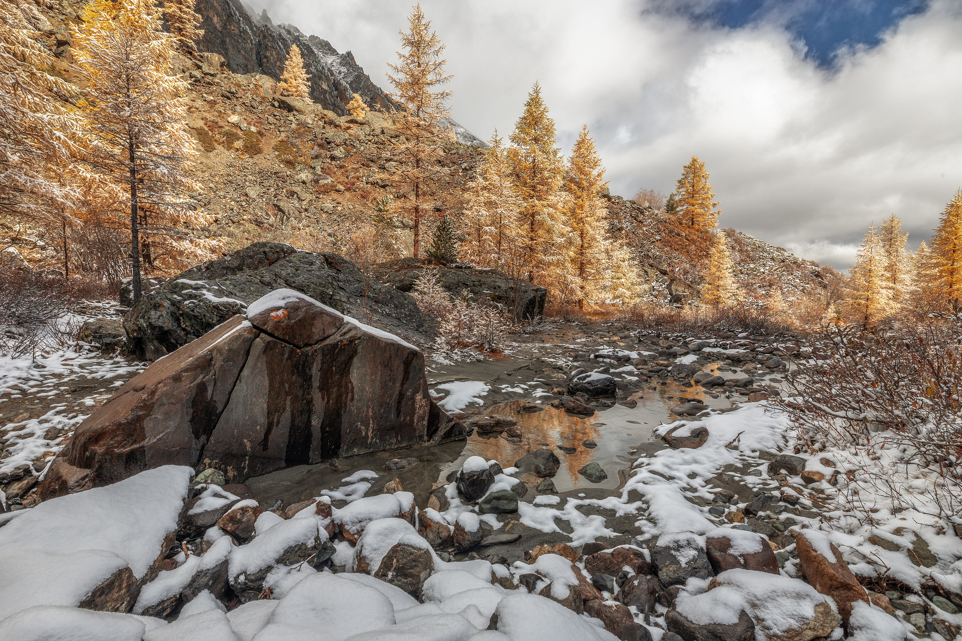 Алтай, Гусева Елена