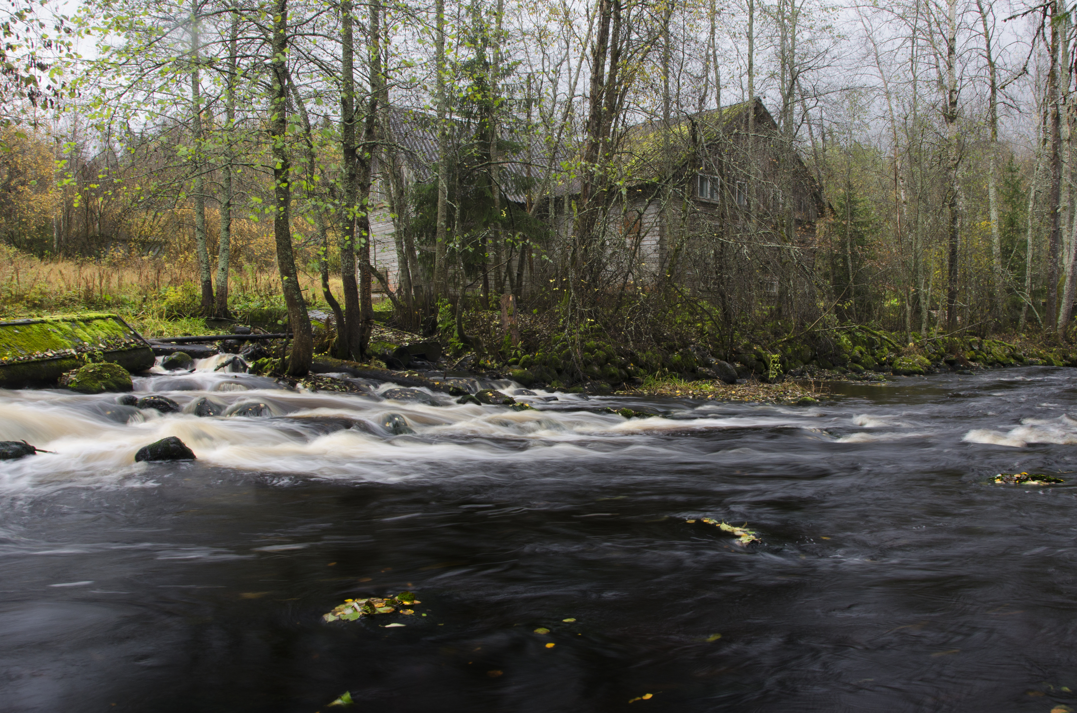 , Алексей Алешин
