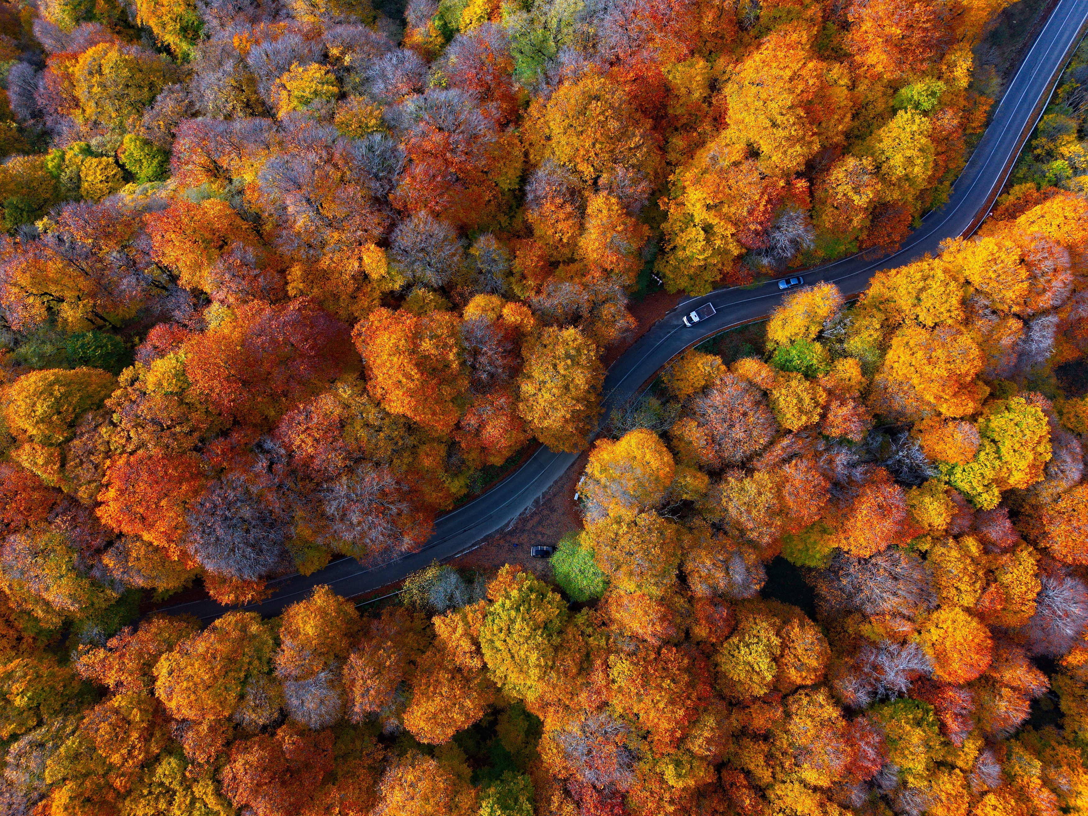 , Игорь Щербаков