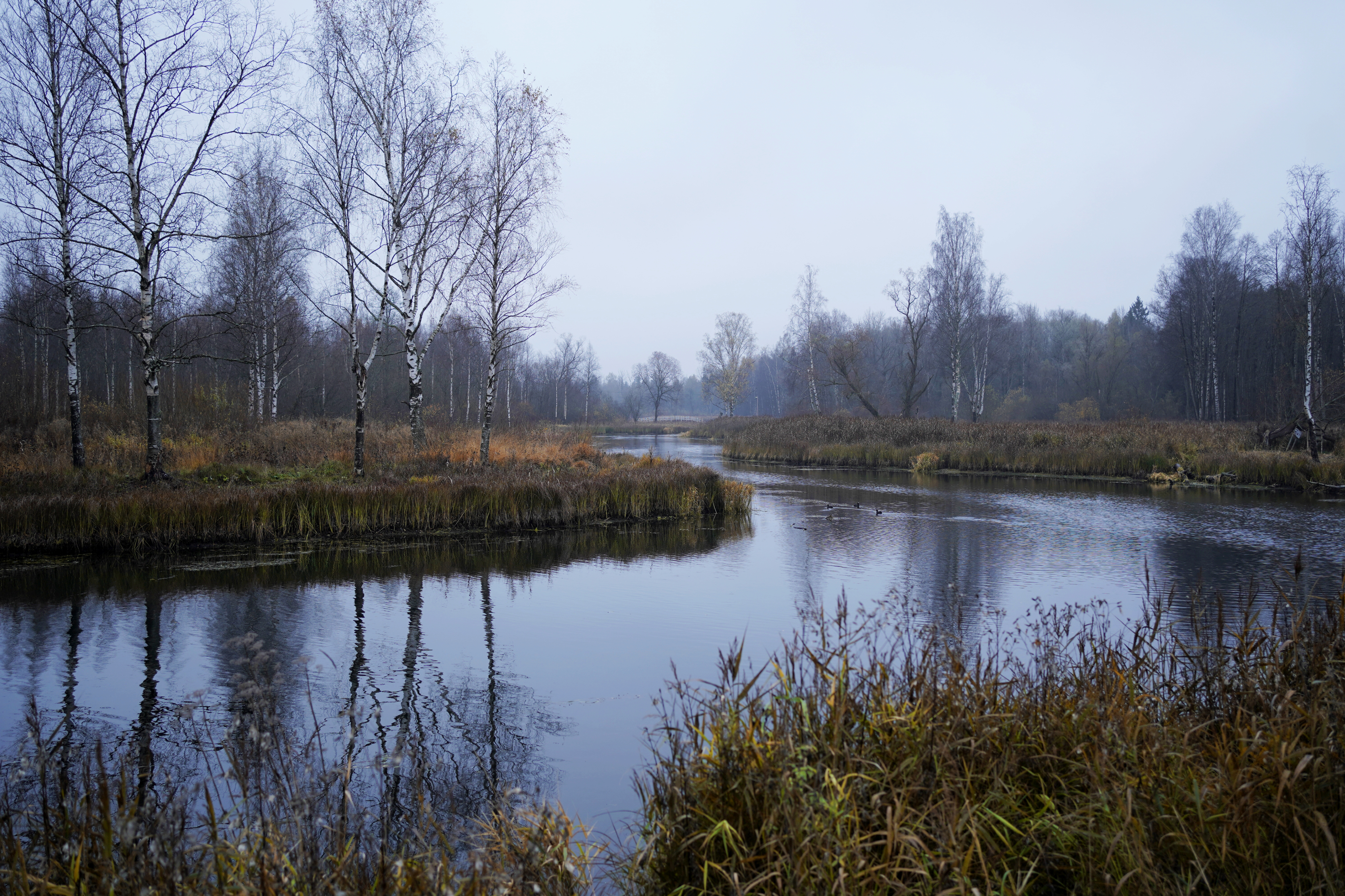 , Алёна Таланова