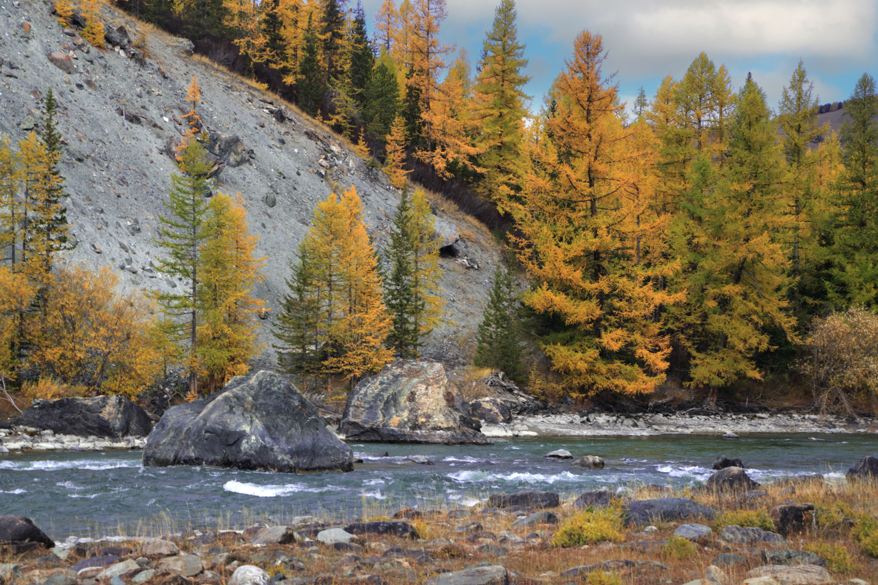 , Евгений Зинов
