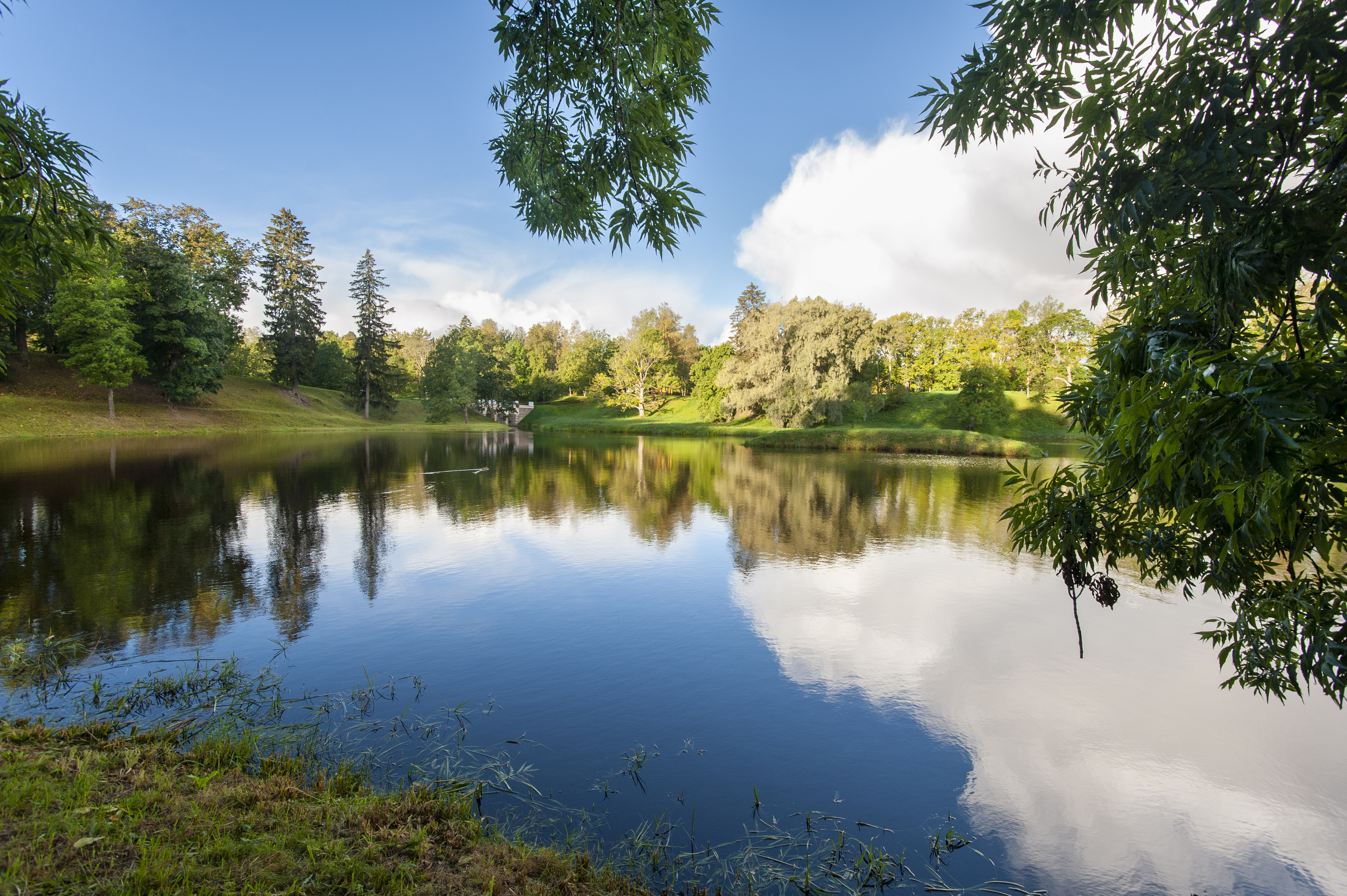, Георгий Сапожников