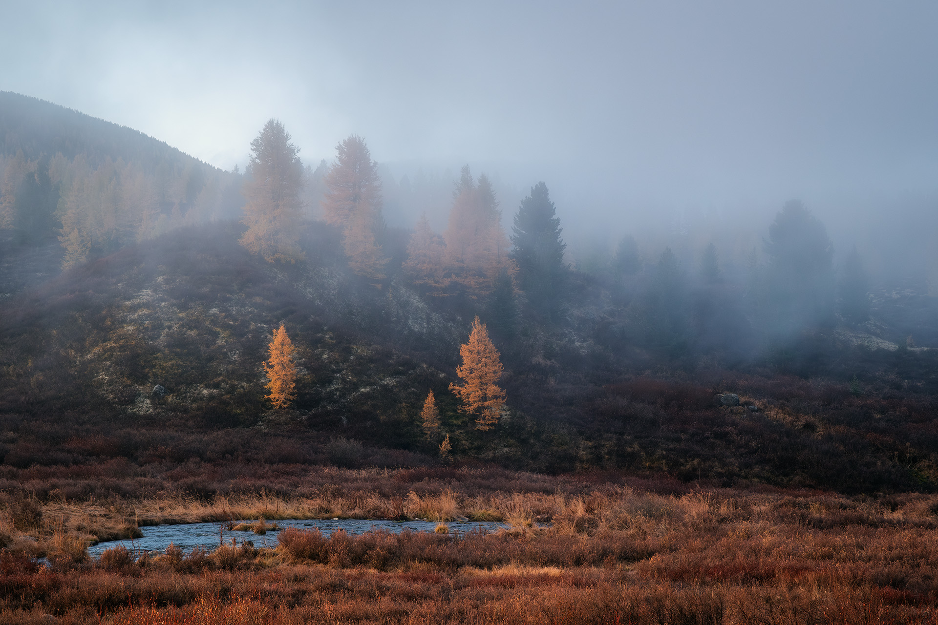 , Бодрягин Виталий