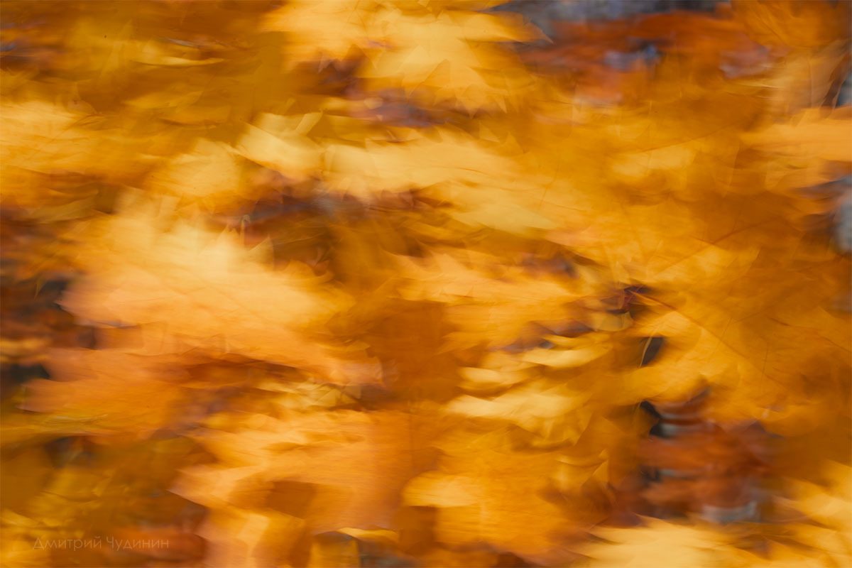 , Чудинин Дмитрий