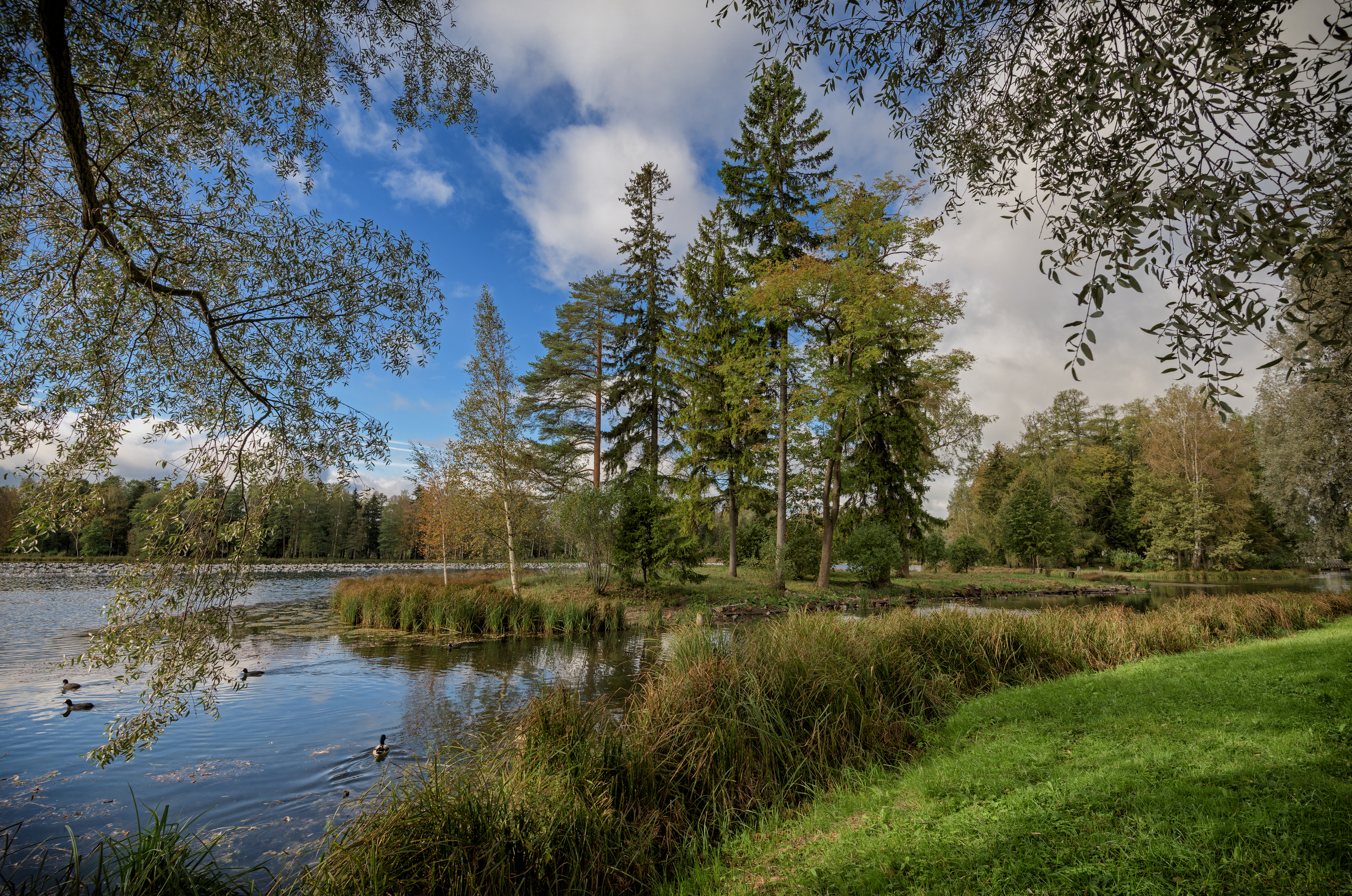 рф ло гатчина дворцовый парк, Тихонов Дмитрий