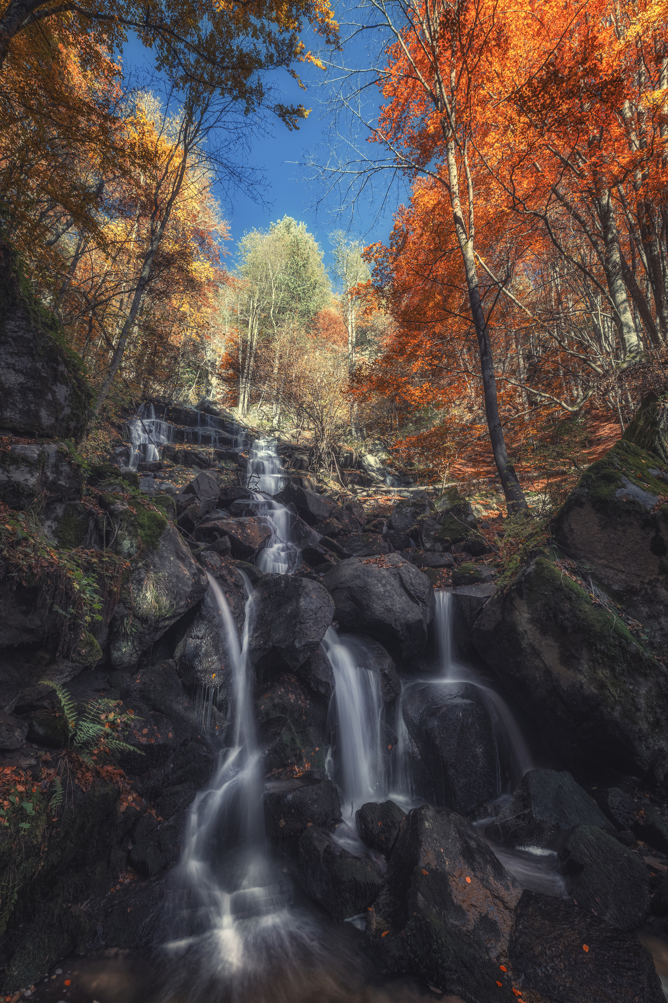 , Маджаров Костадин