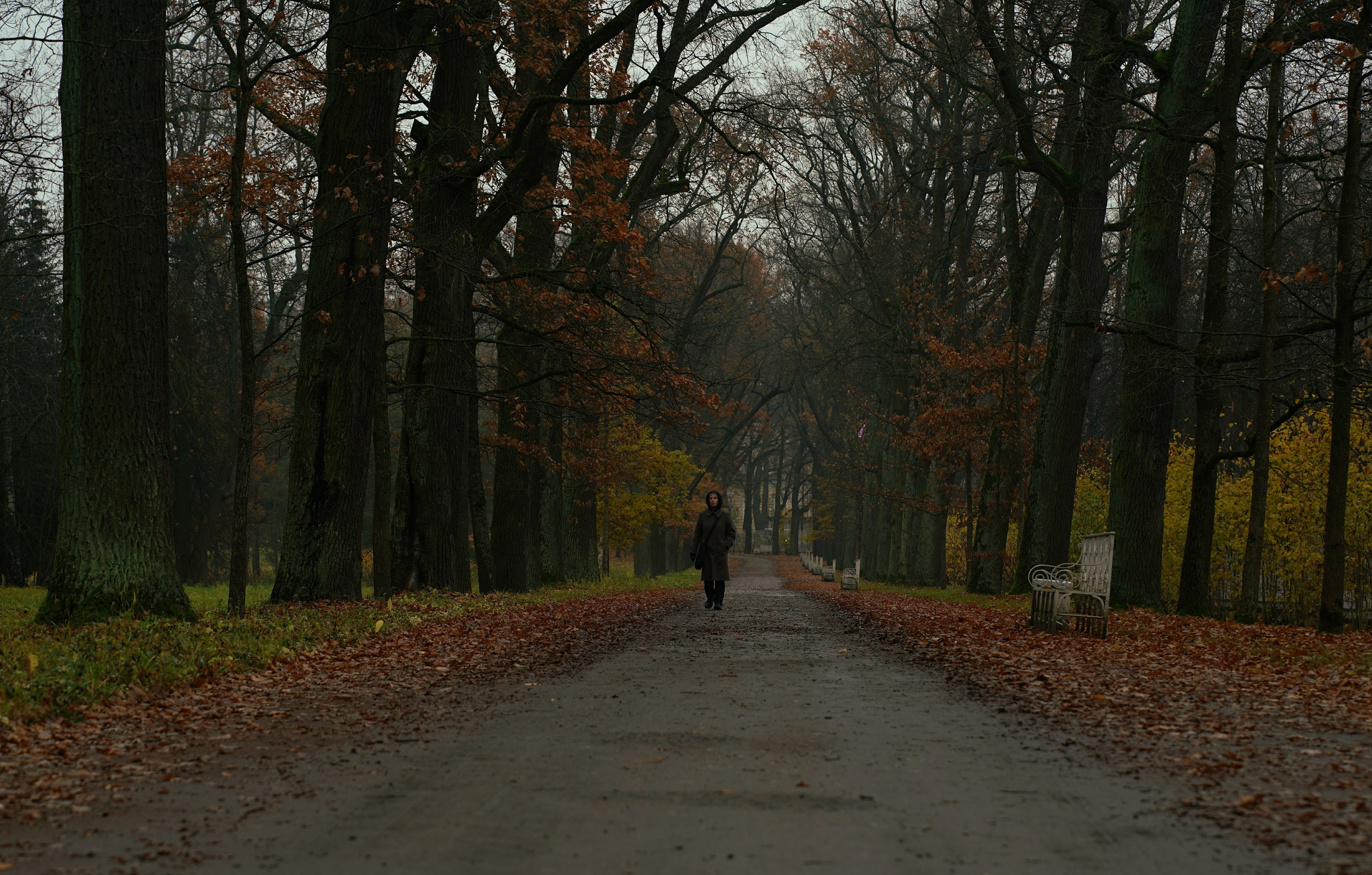 ,  Сергей Андреевич