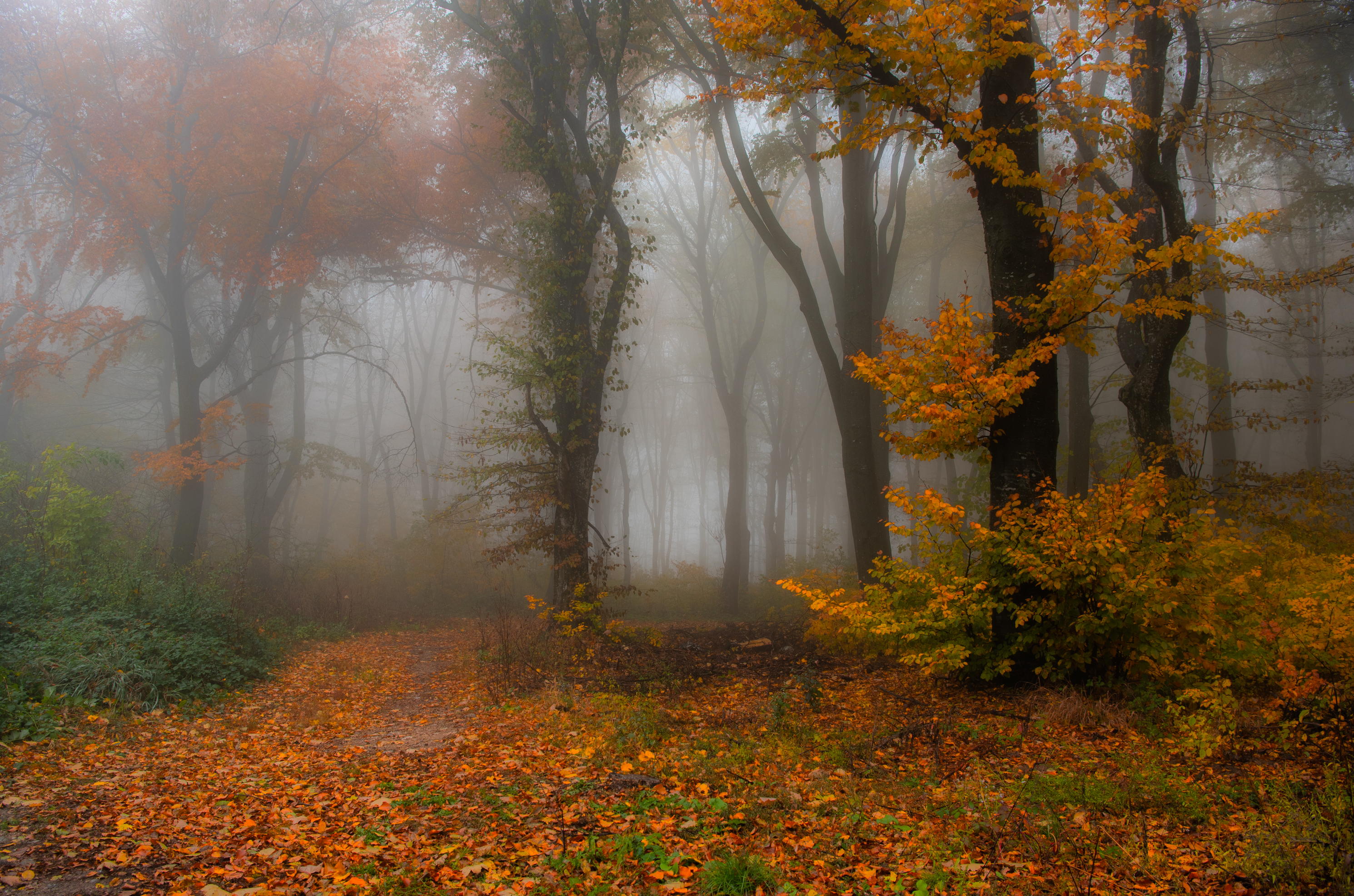 осень, Руслан Авдевич