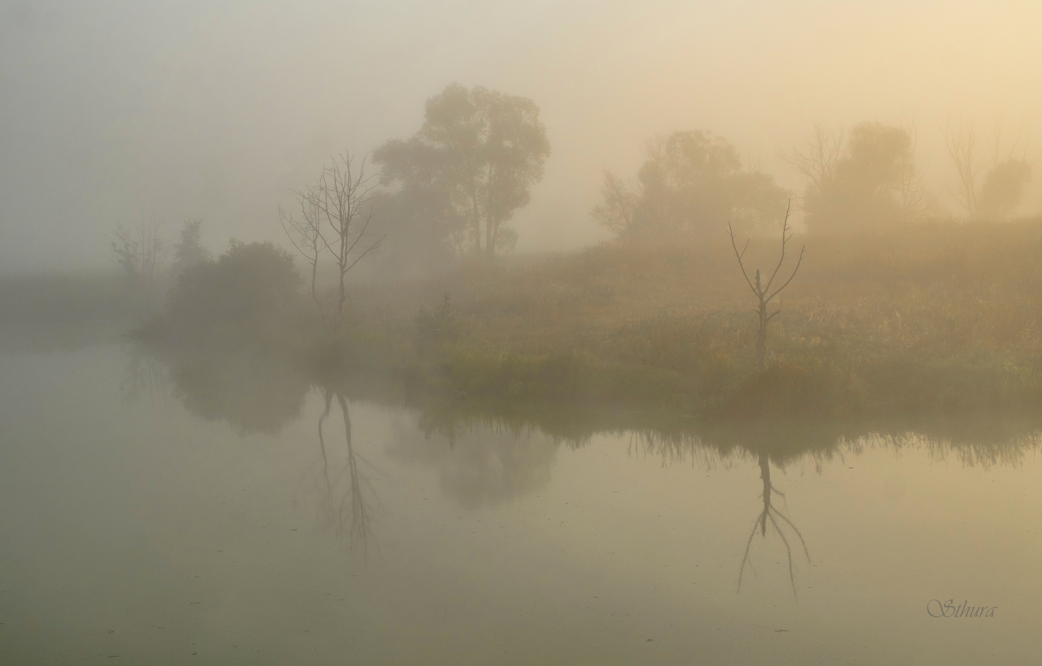 лето озеро рассвет туман природа пейзаж, Александр Строков