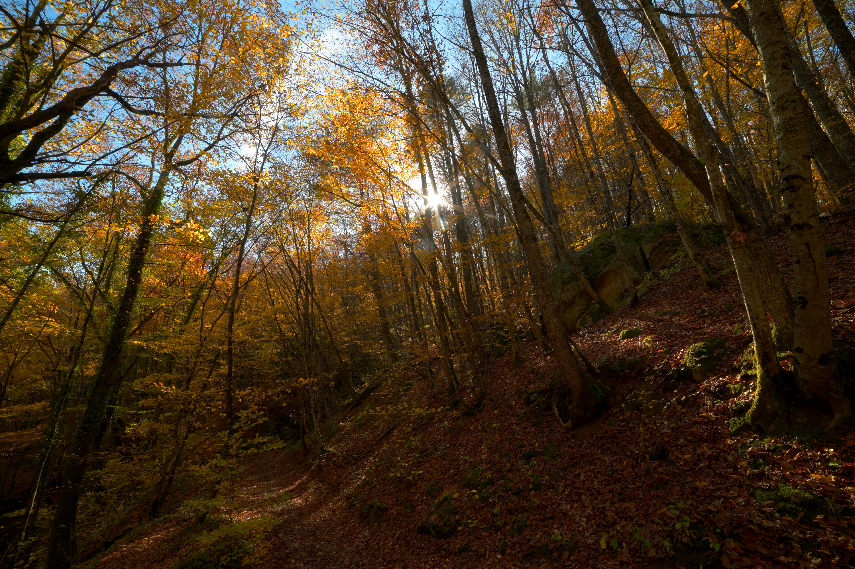 , Сергей Тихомиров