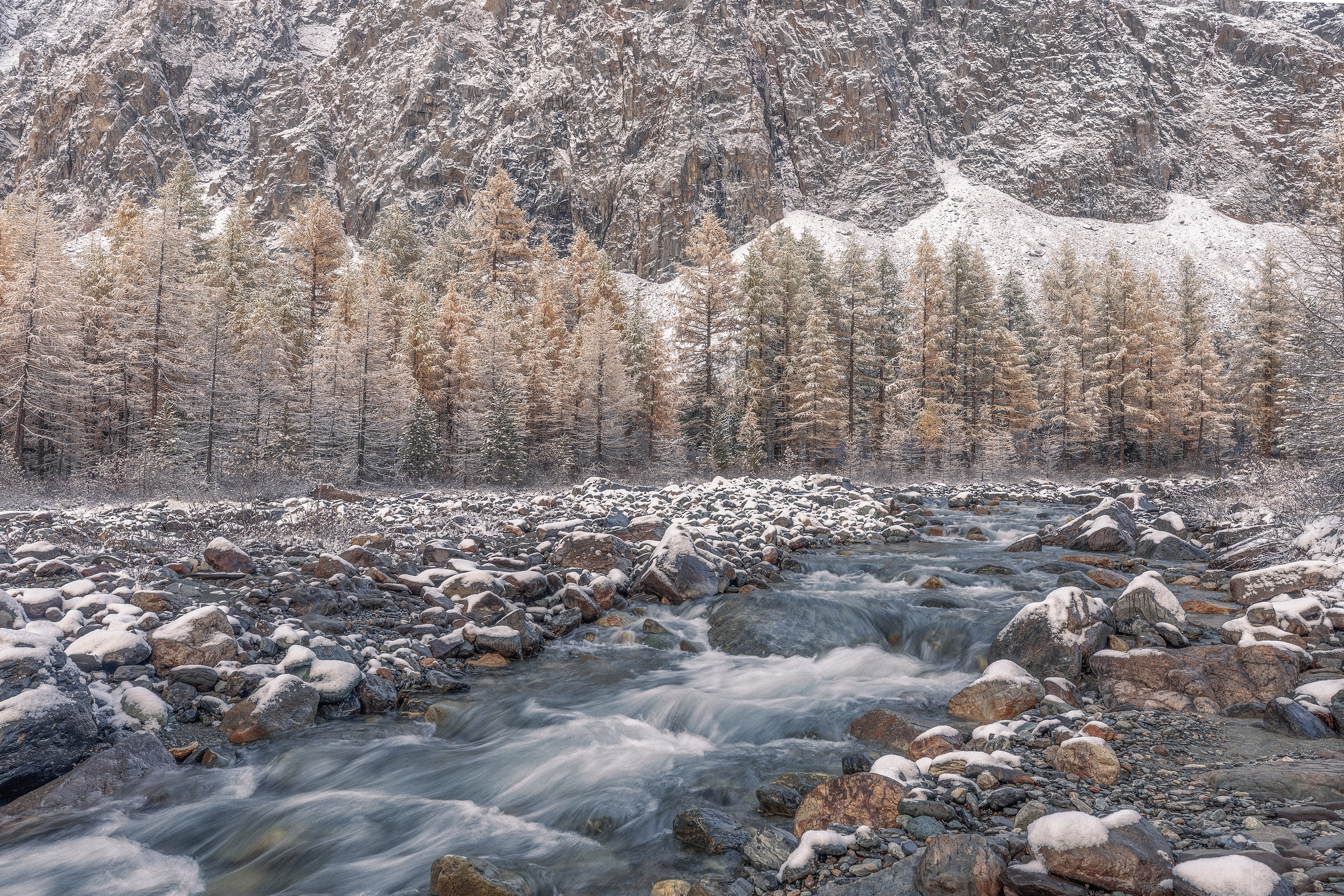 Алтай, Гусева Елена