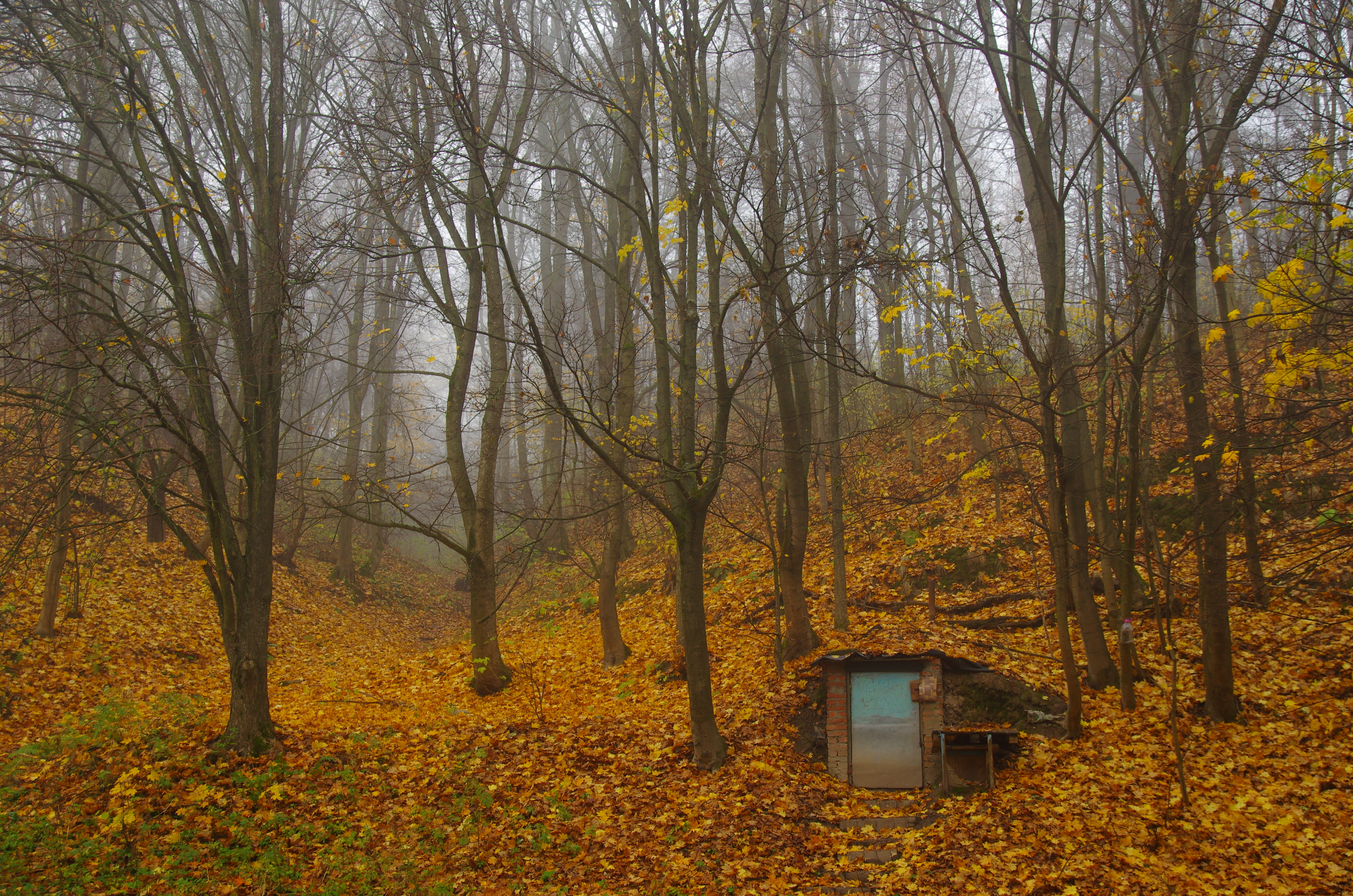 , Шляга Сергей