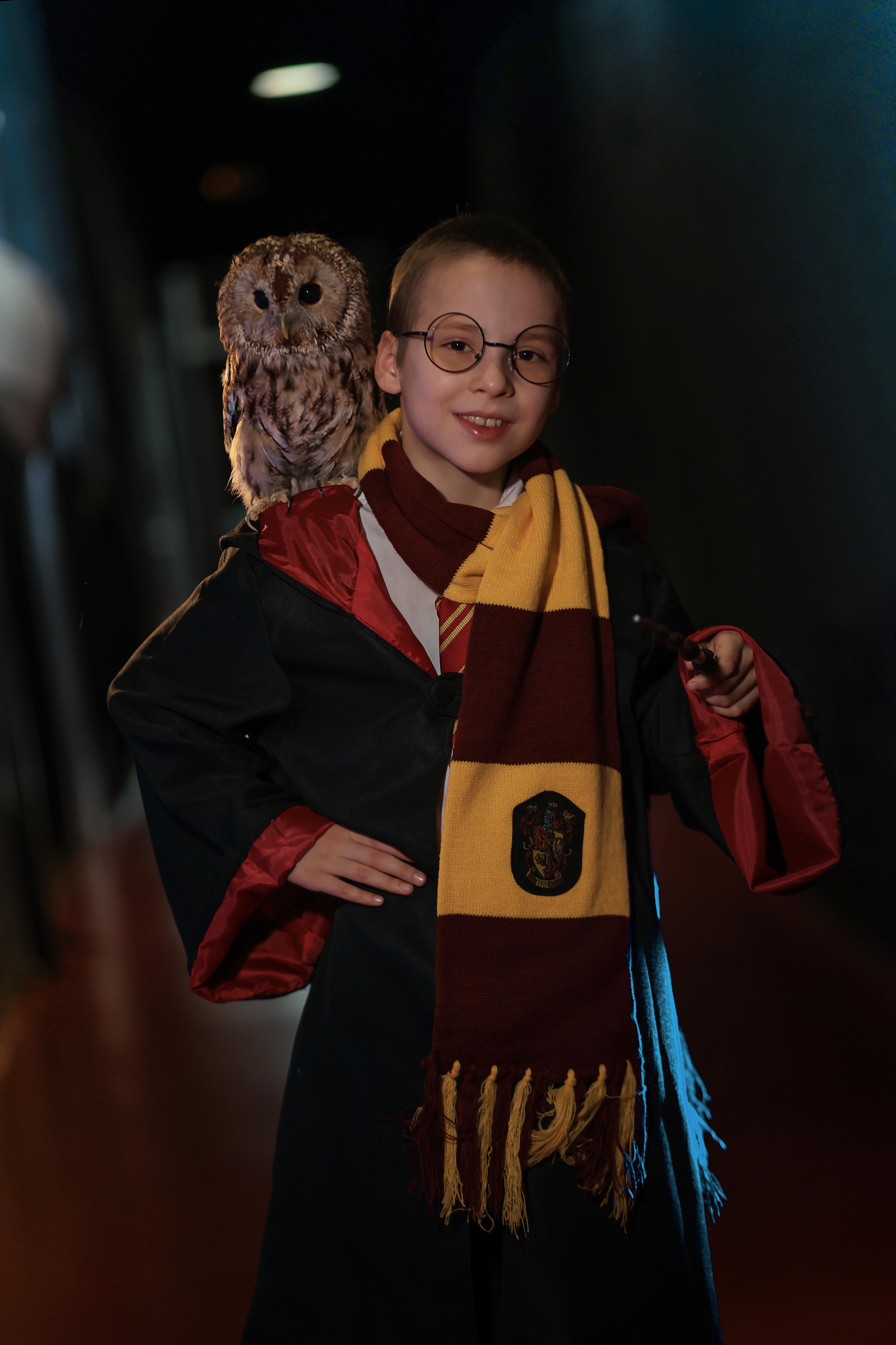 , Аксинья Лысенкова