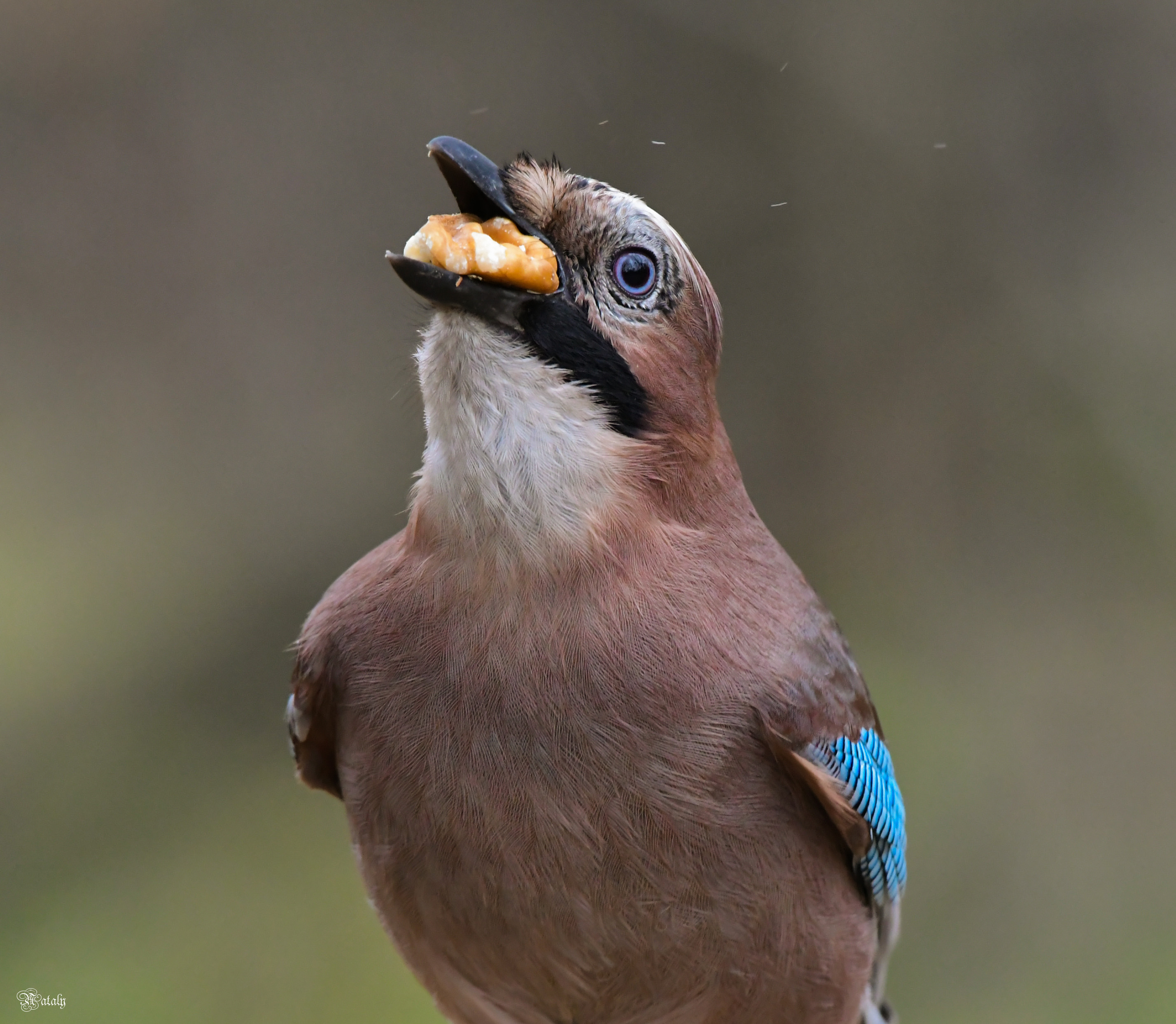, Наталья Екимова