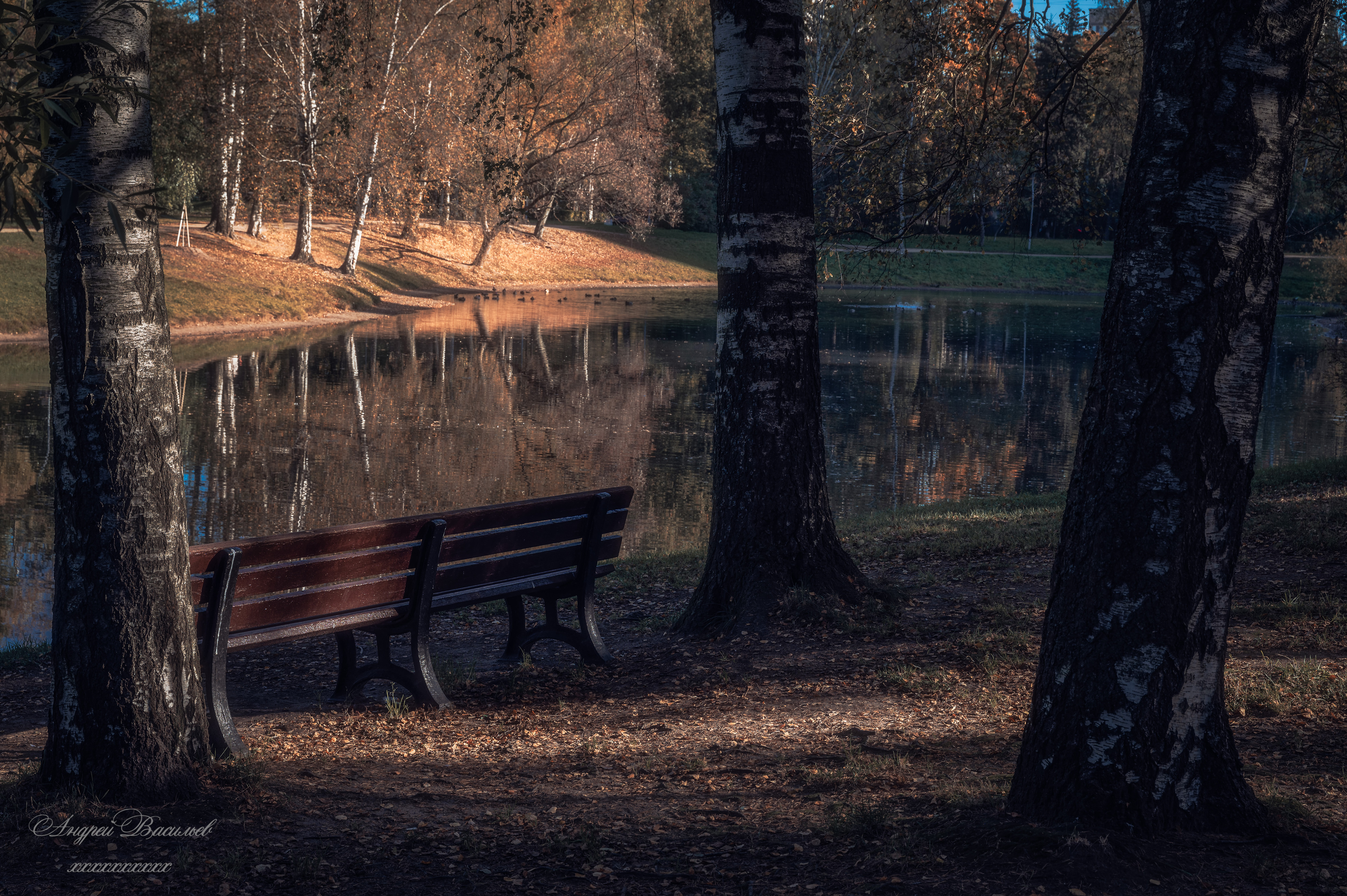 осень, осенний пейзаж, парки, Васильев Андрей